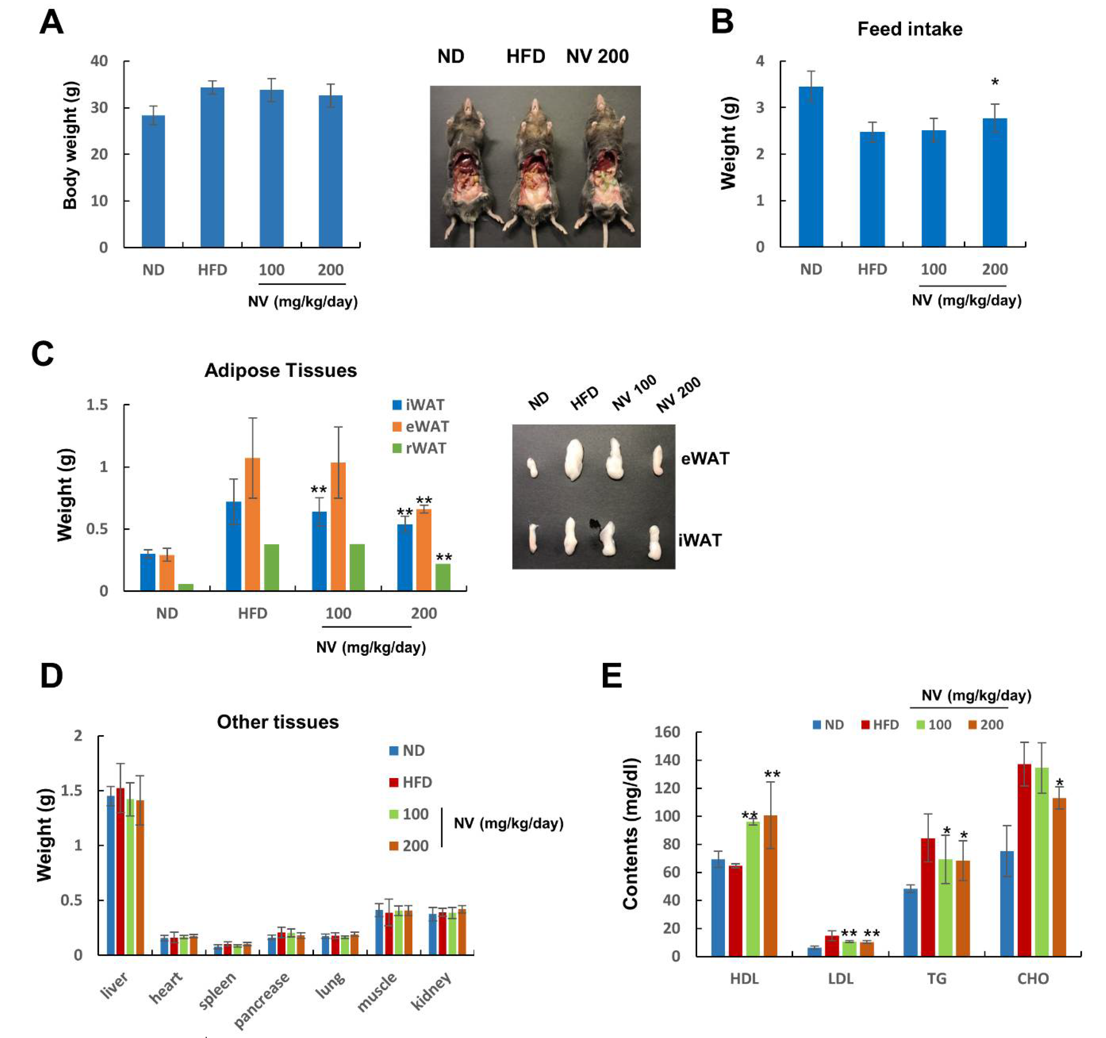 Biology 11 01013 g002