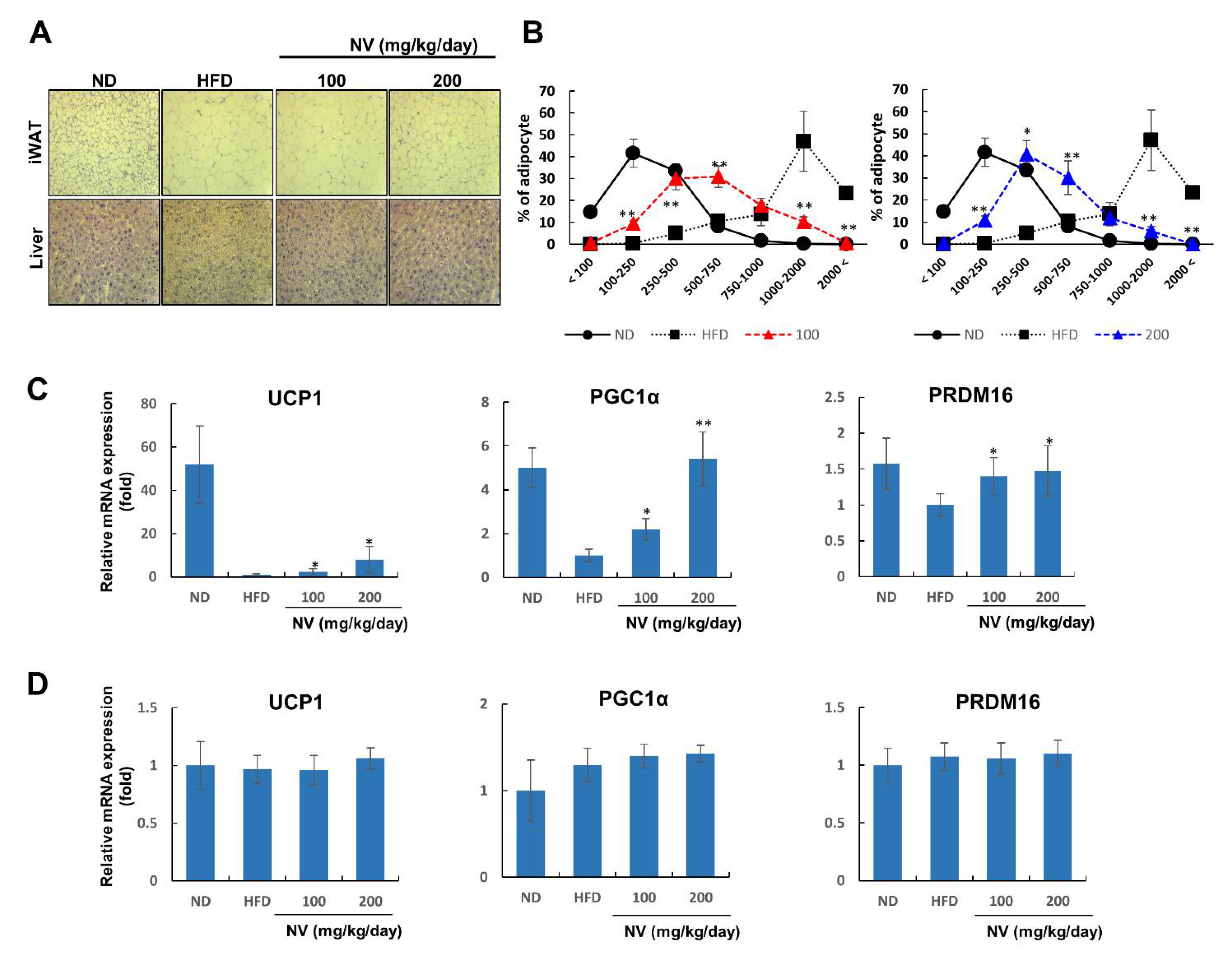 Biology 11 01013 g003