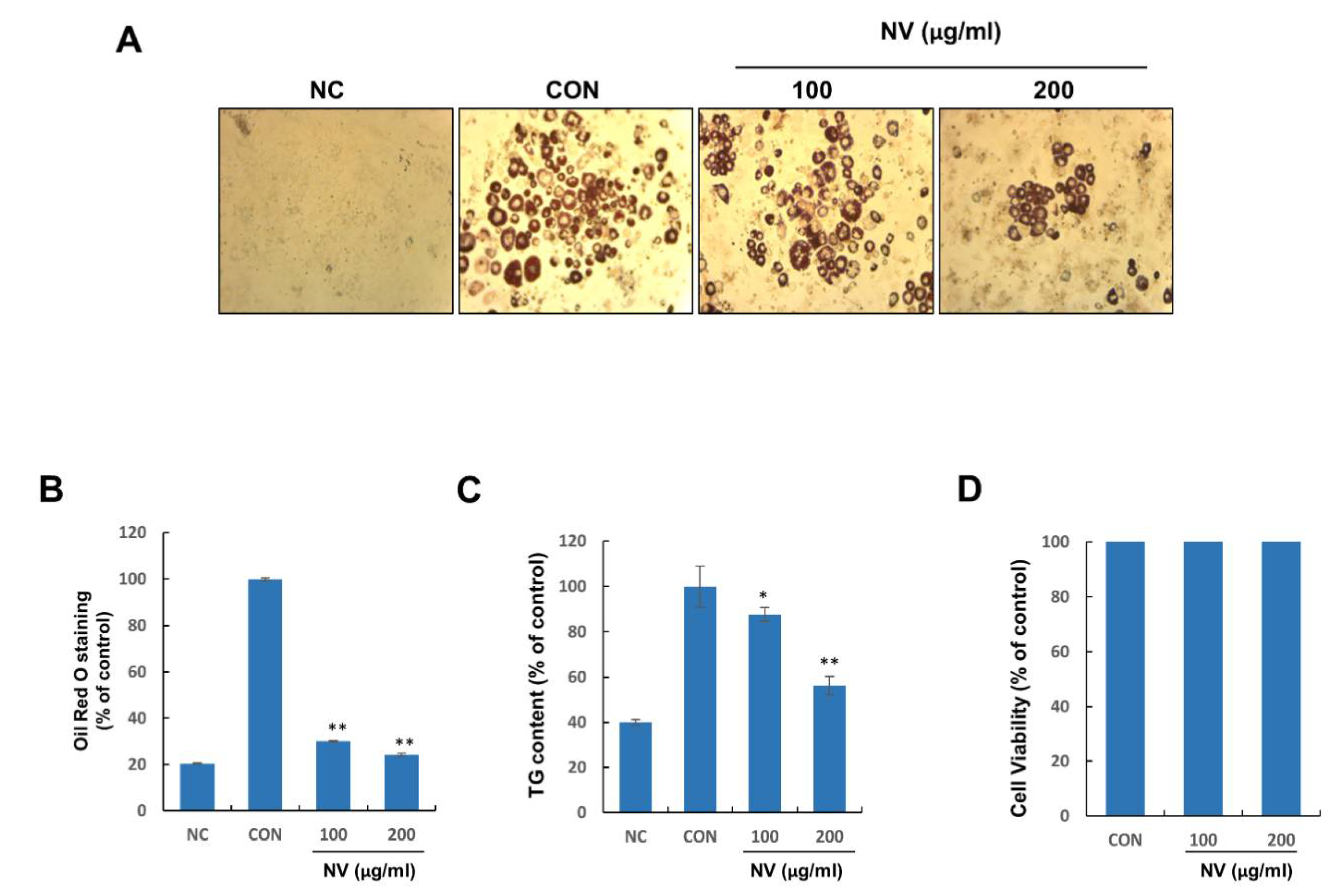 Biology 11 01013 g004