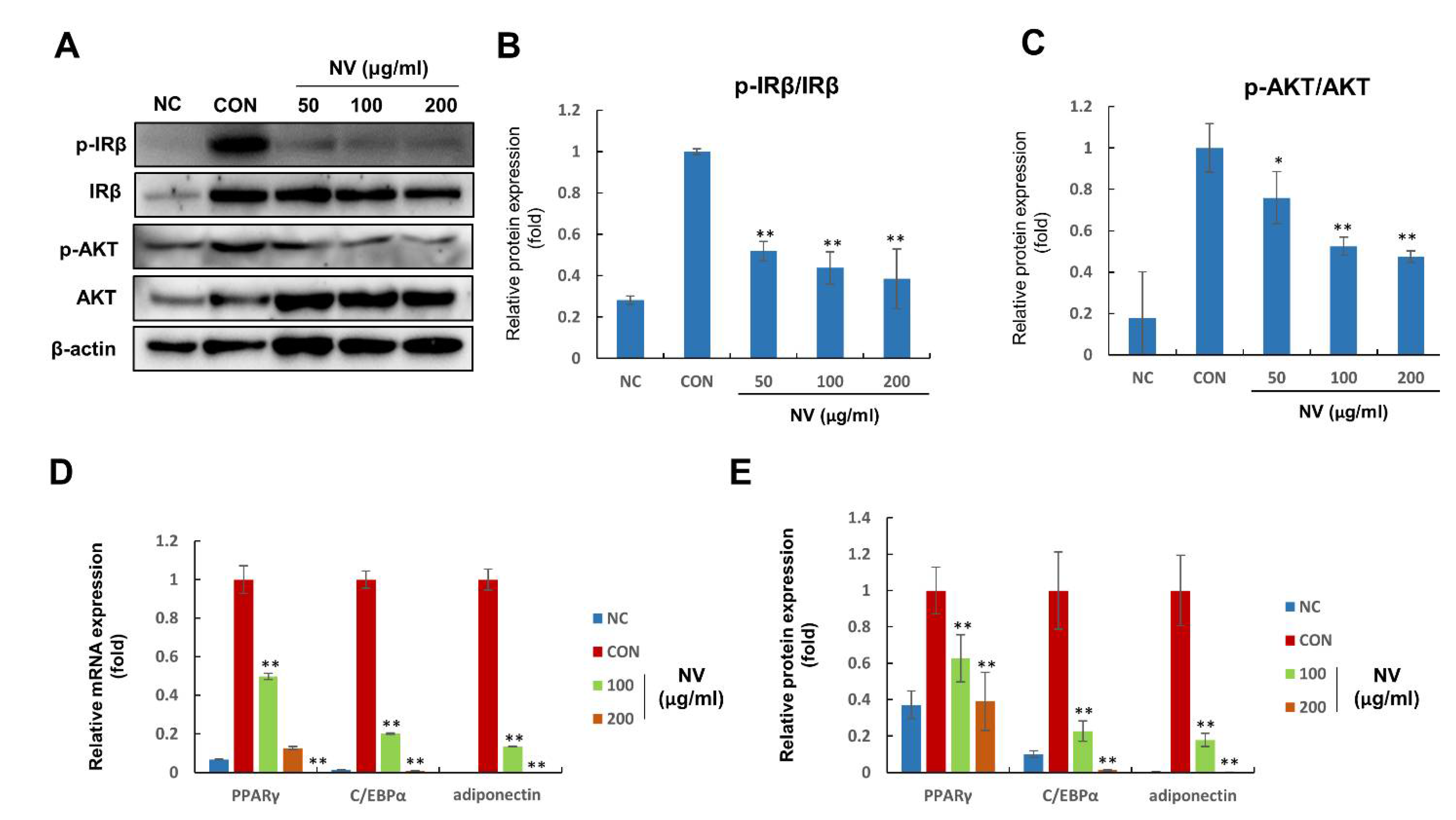 Biology 11 01013 g005