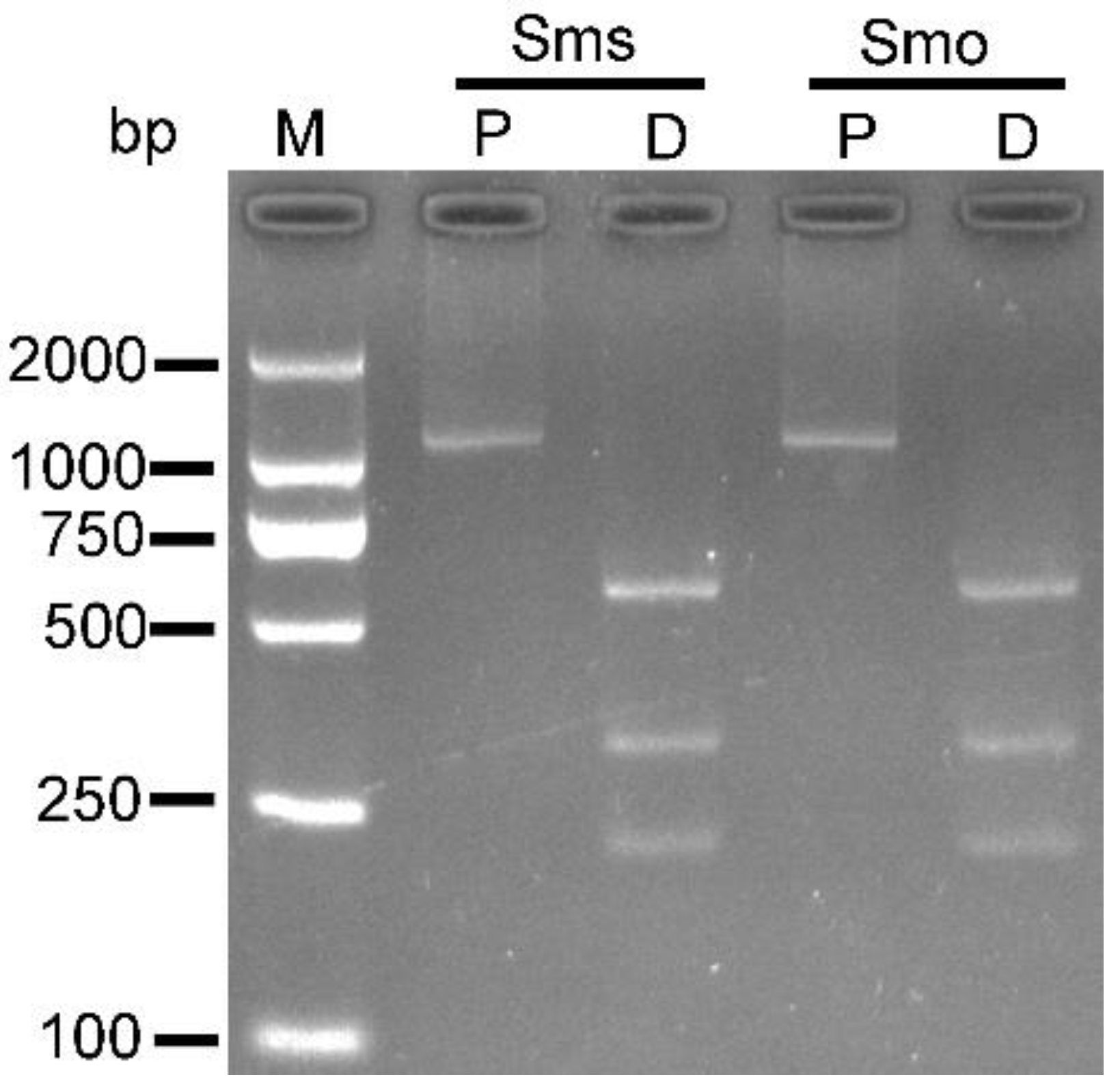 Biology 11 01016 g003 550