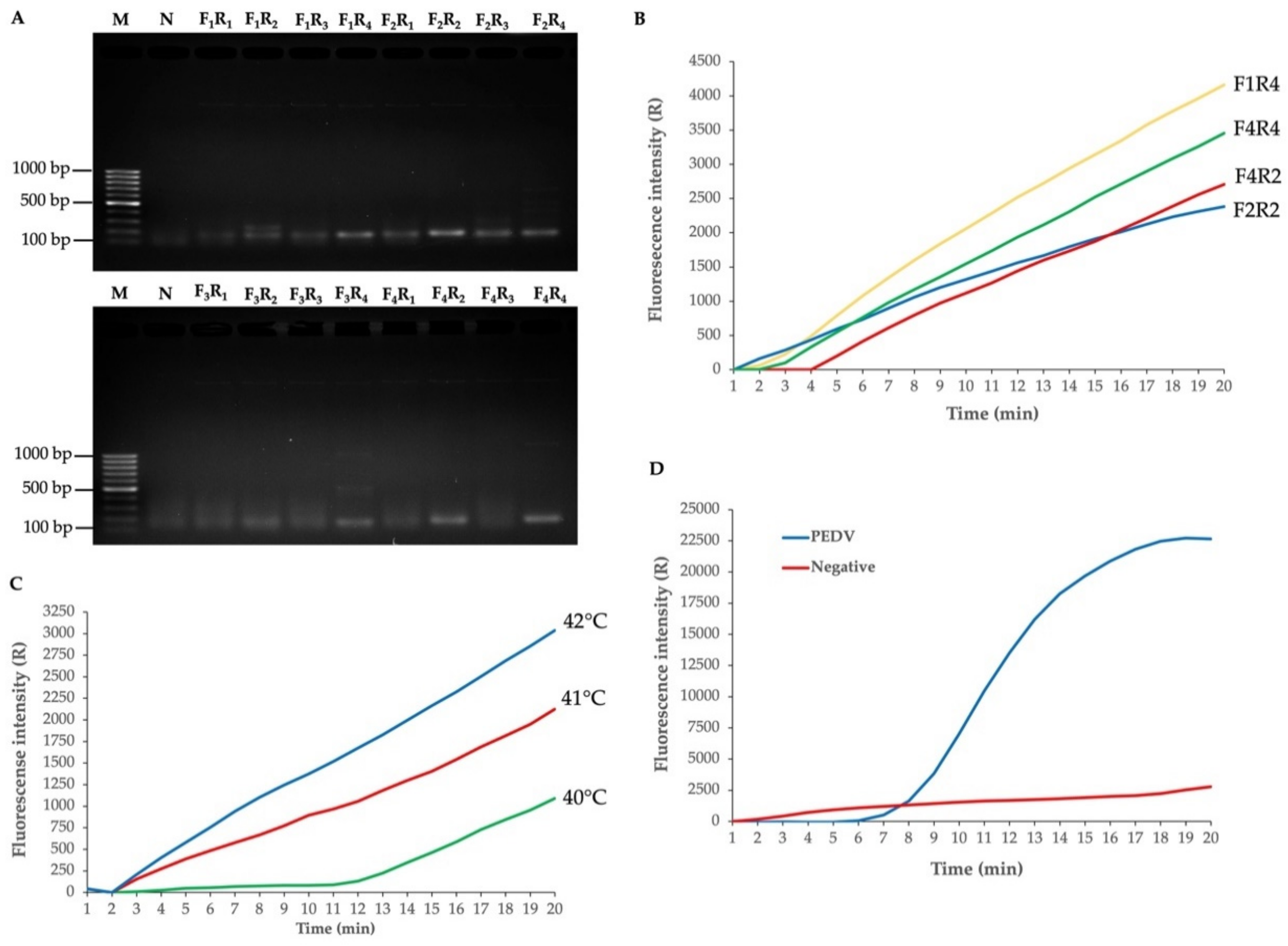 Biology 11 01018 g002