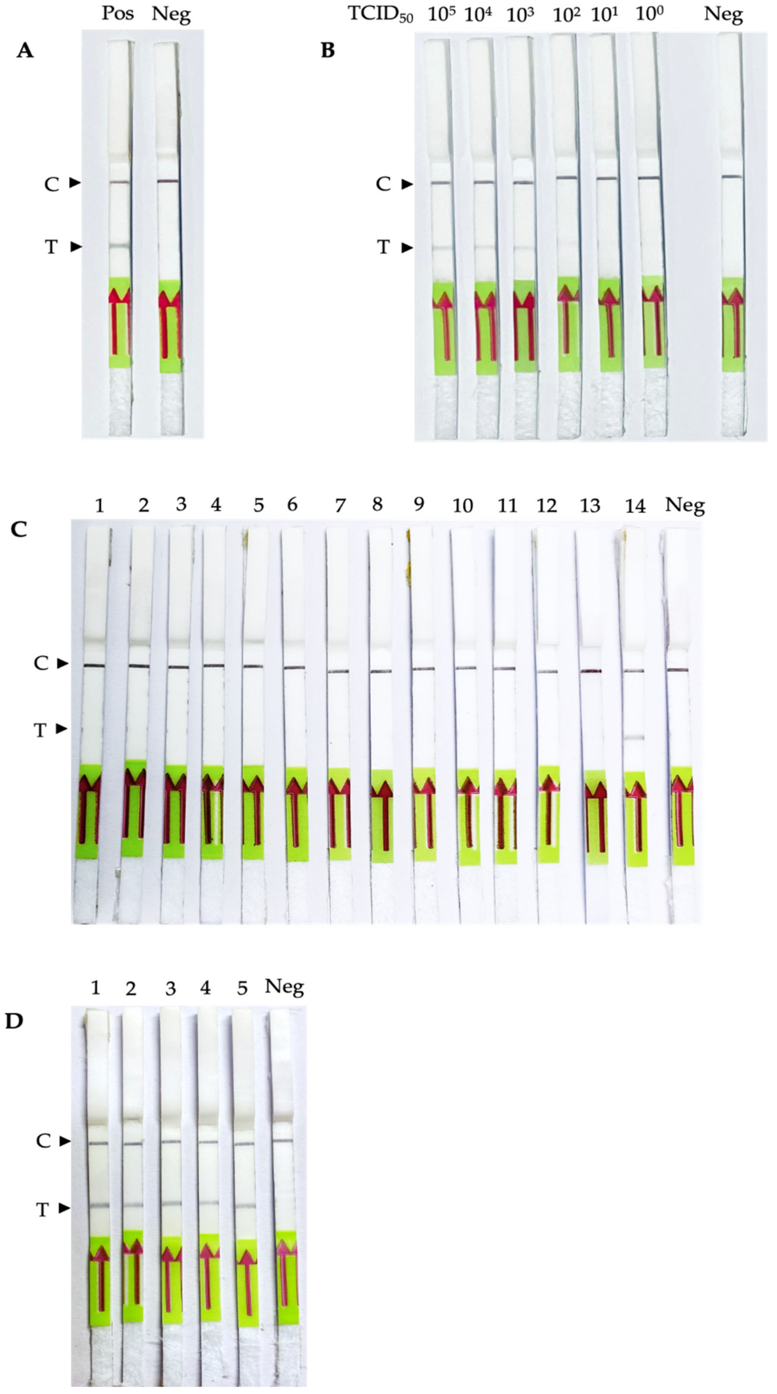 Biology 11 01018 g003