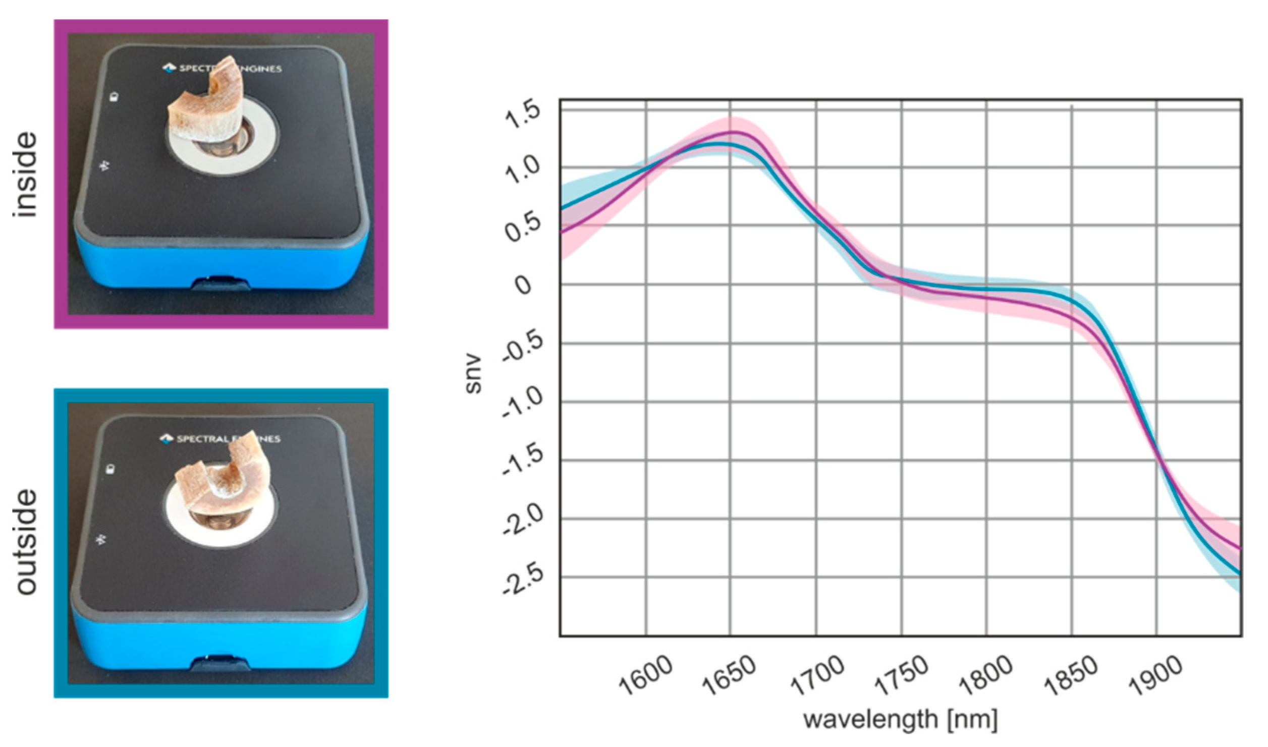 Biology 11 01020 g003