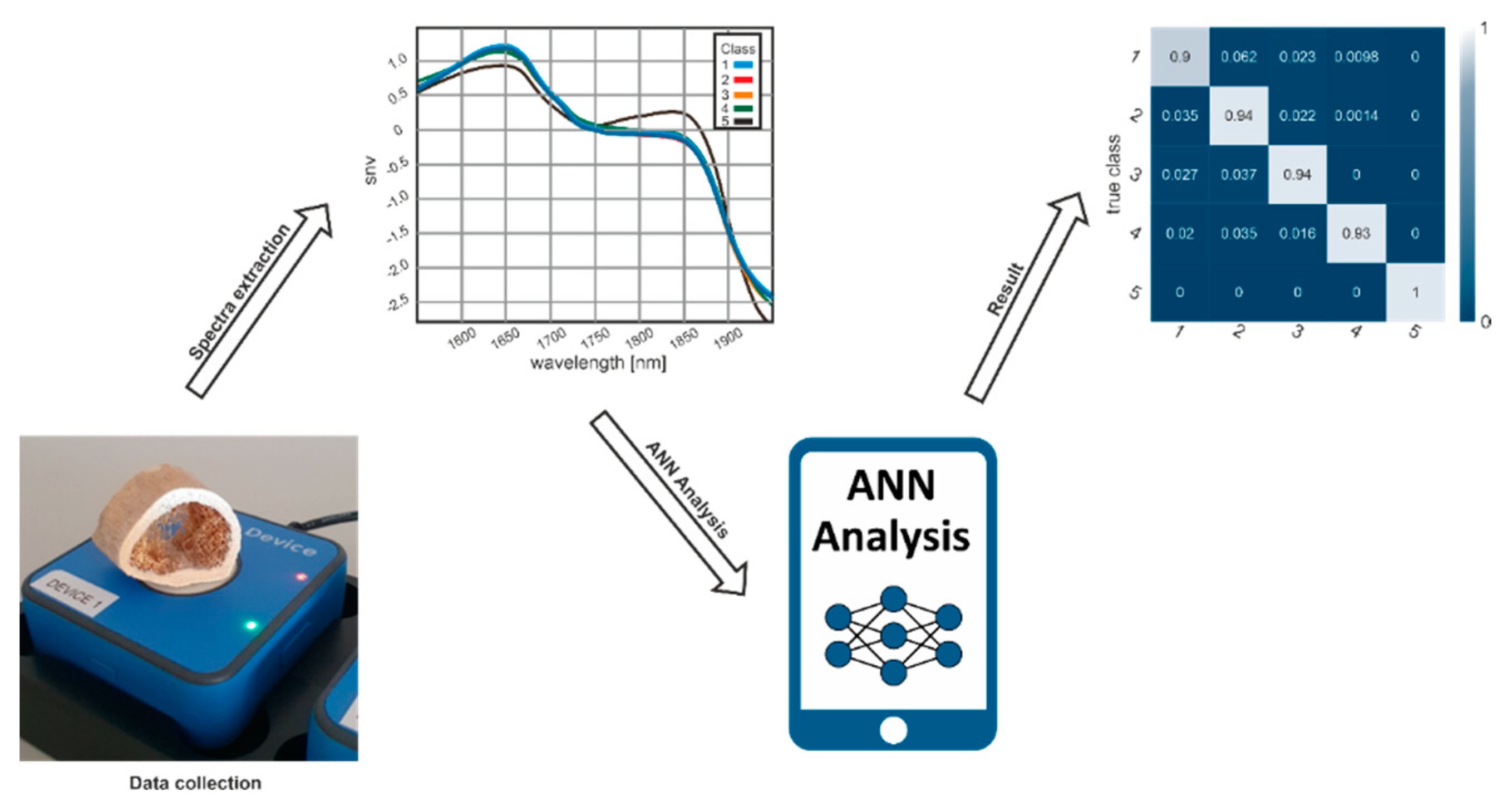 Biology 11 01020 g005