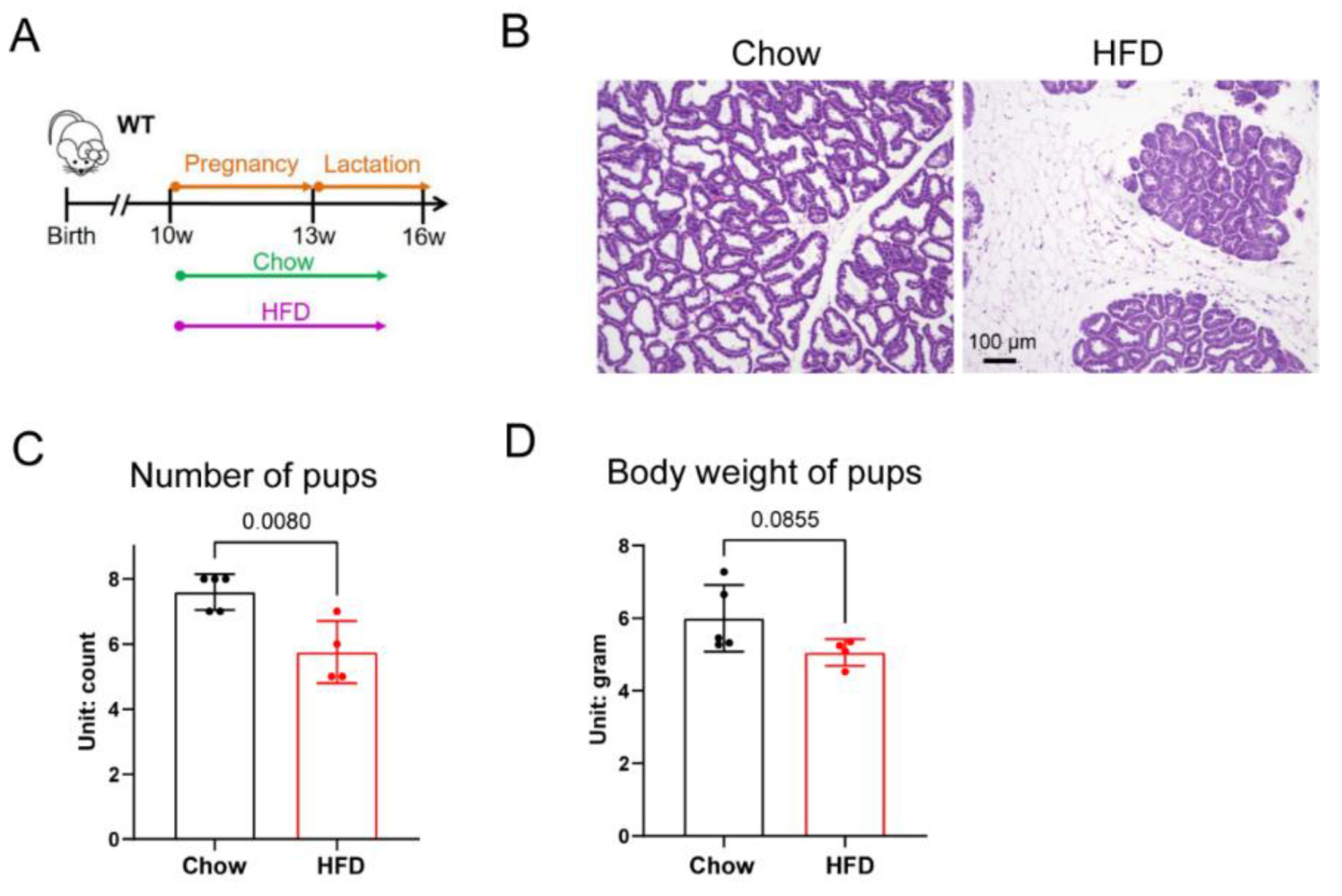 Biology 11 01023 g001 550