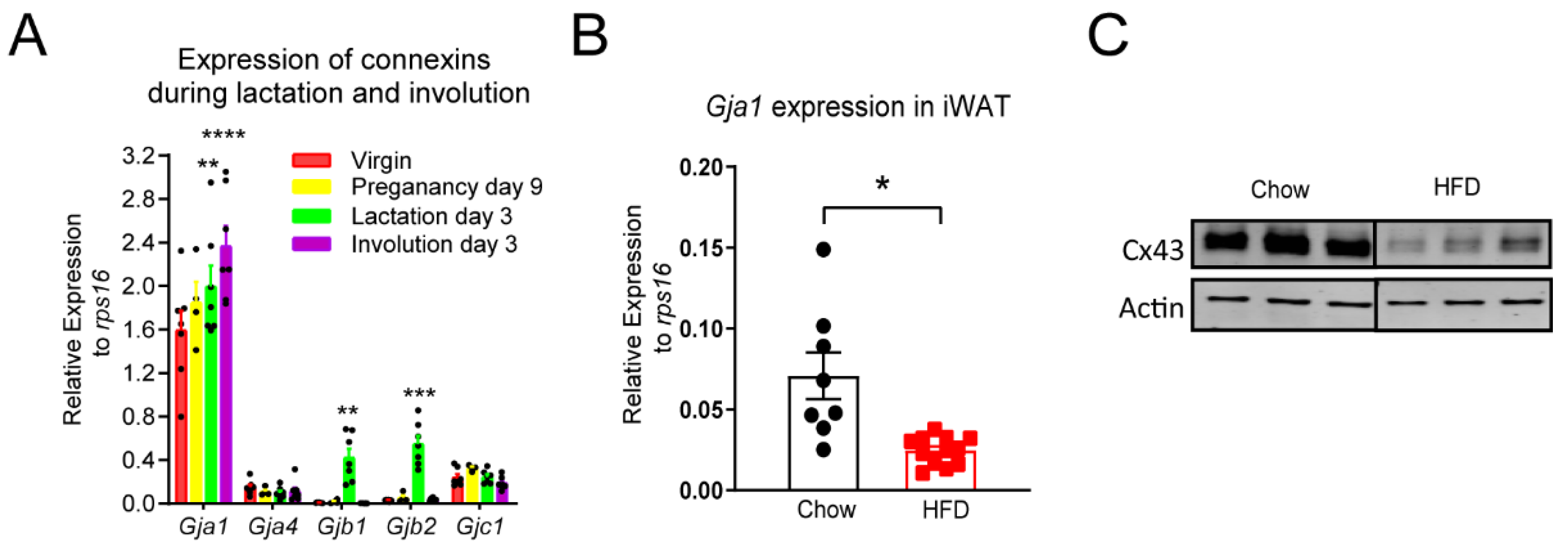 Biology 11 01023 g002 550