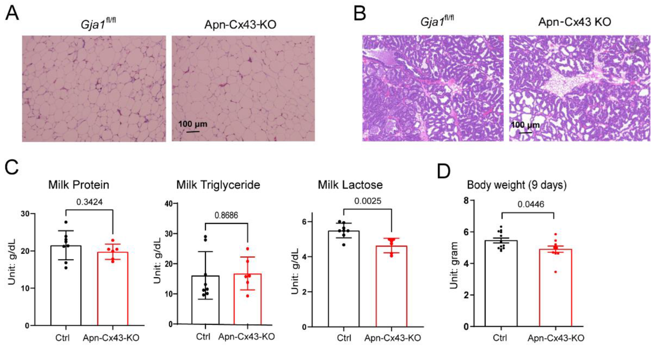 Biology 11 01023 g004 550