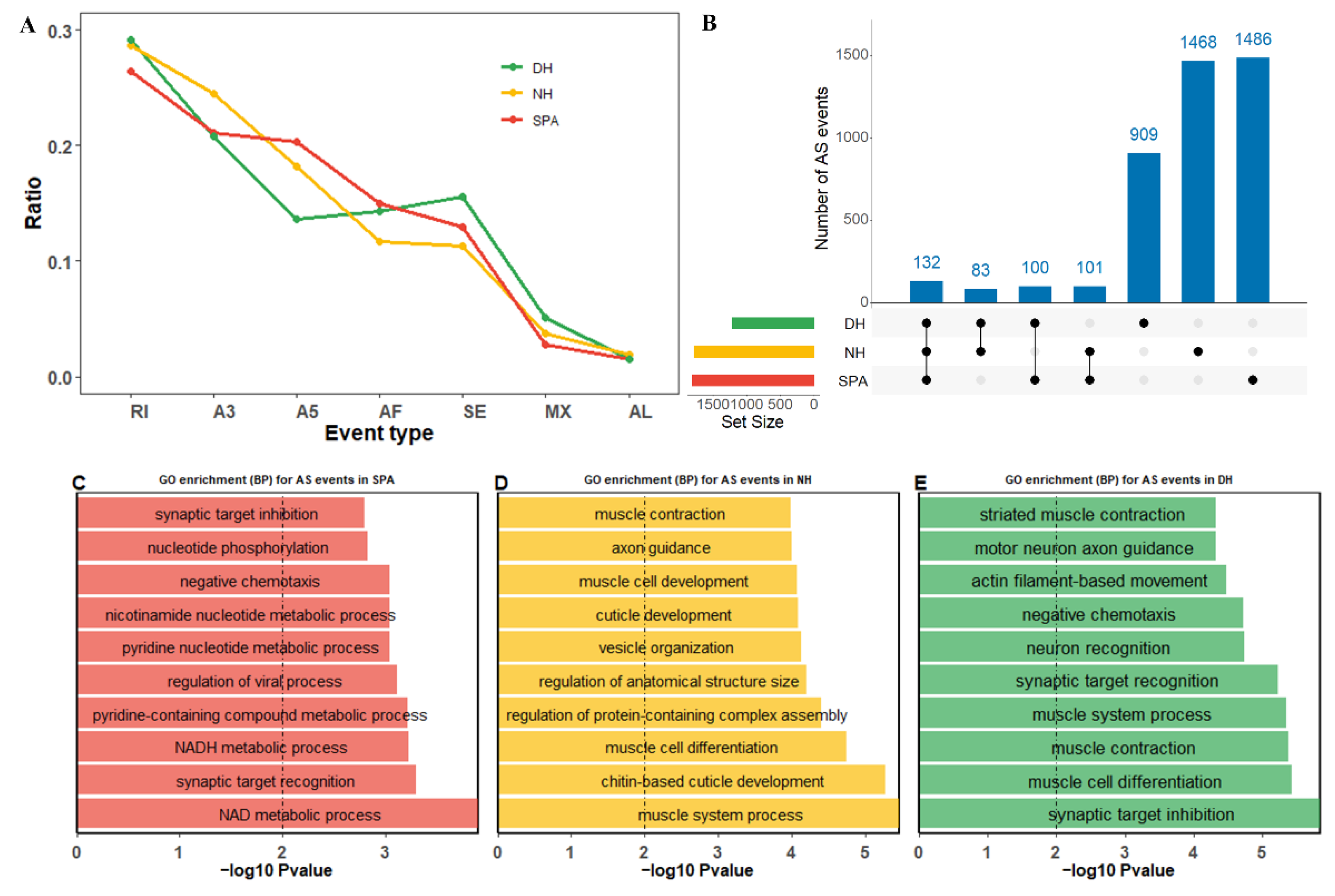 Biology 11 01026 g003 Biology 11 01026 g003