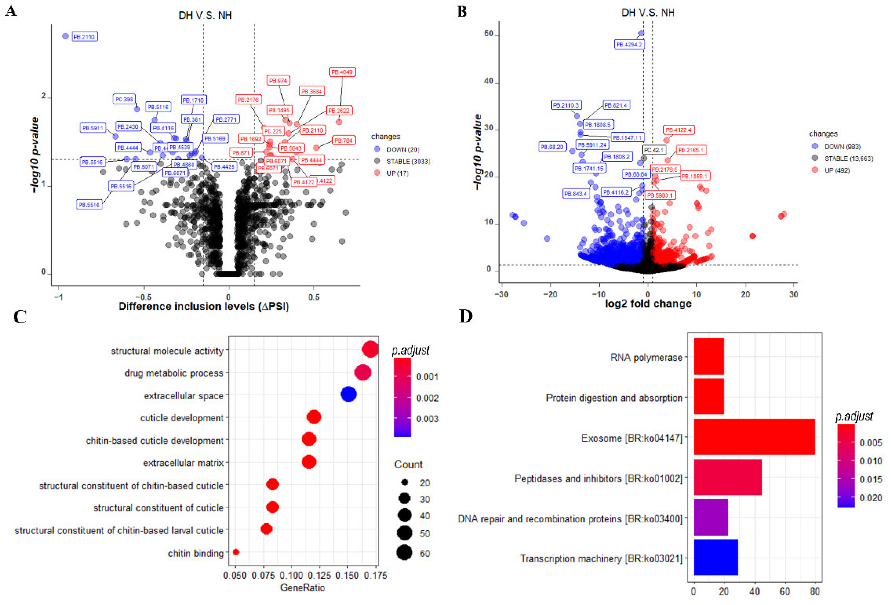 Biology 11 01026 g004 Biology 11 01026 g004