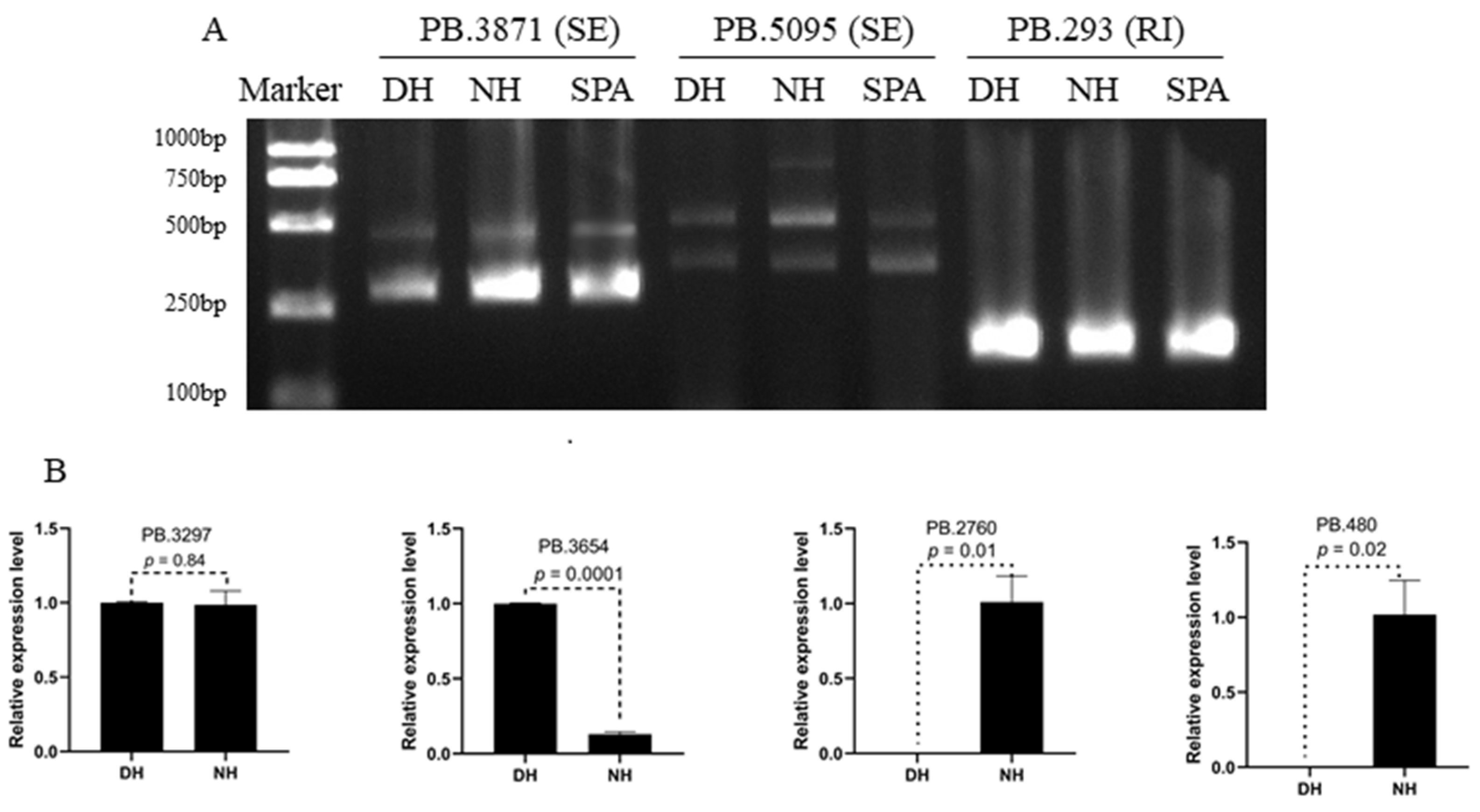 Biology 11 01026 g005 Biology 11 01026 g005