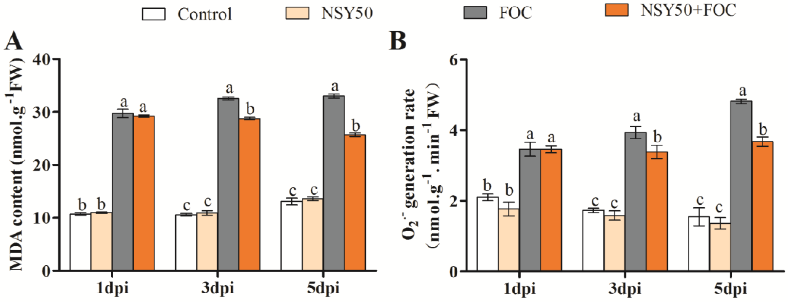 Biology 11 01028 g002