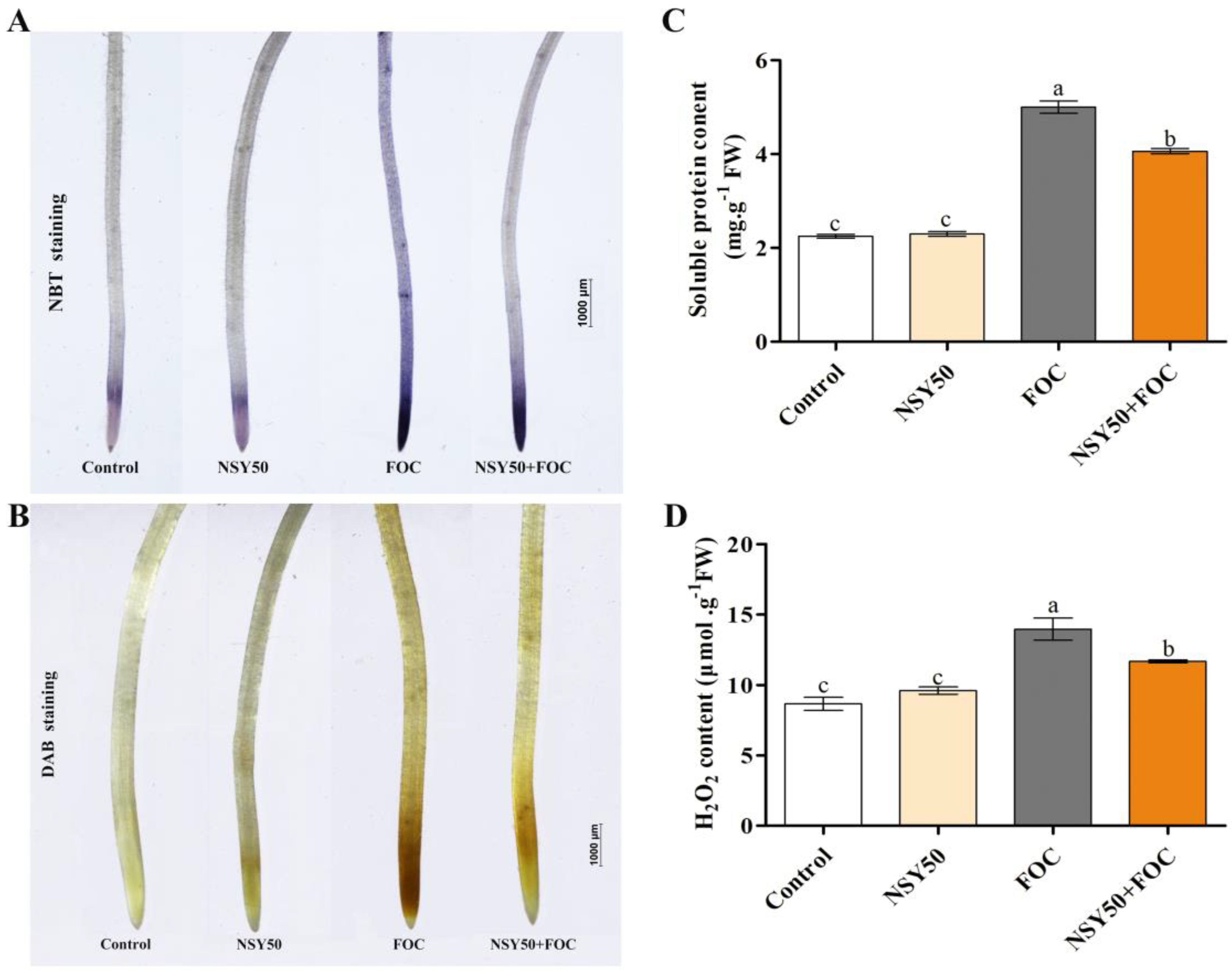 Biology 11 01028 g003