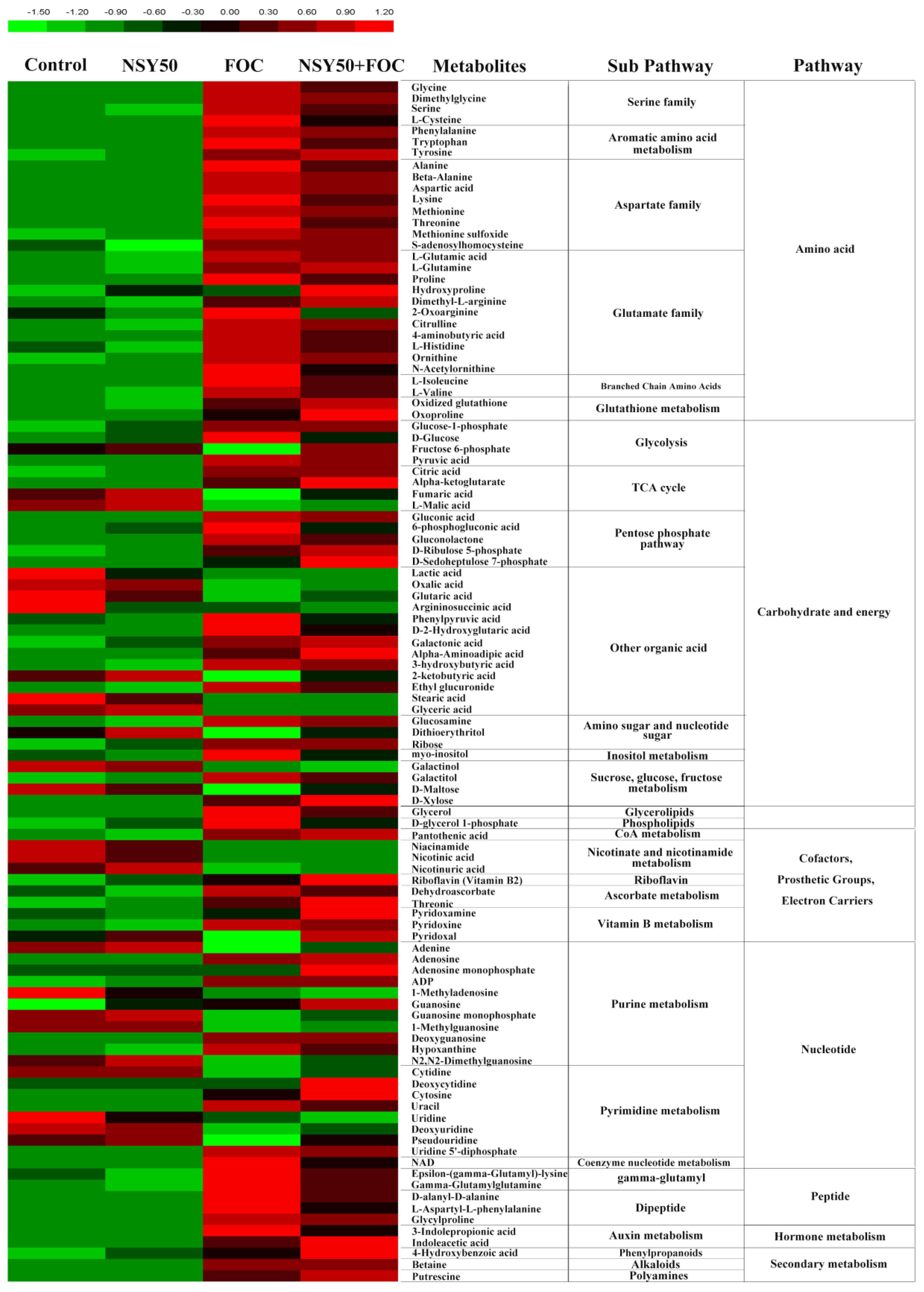 Biology 11 01028 g004