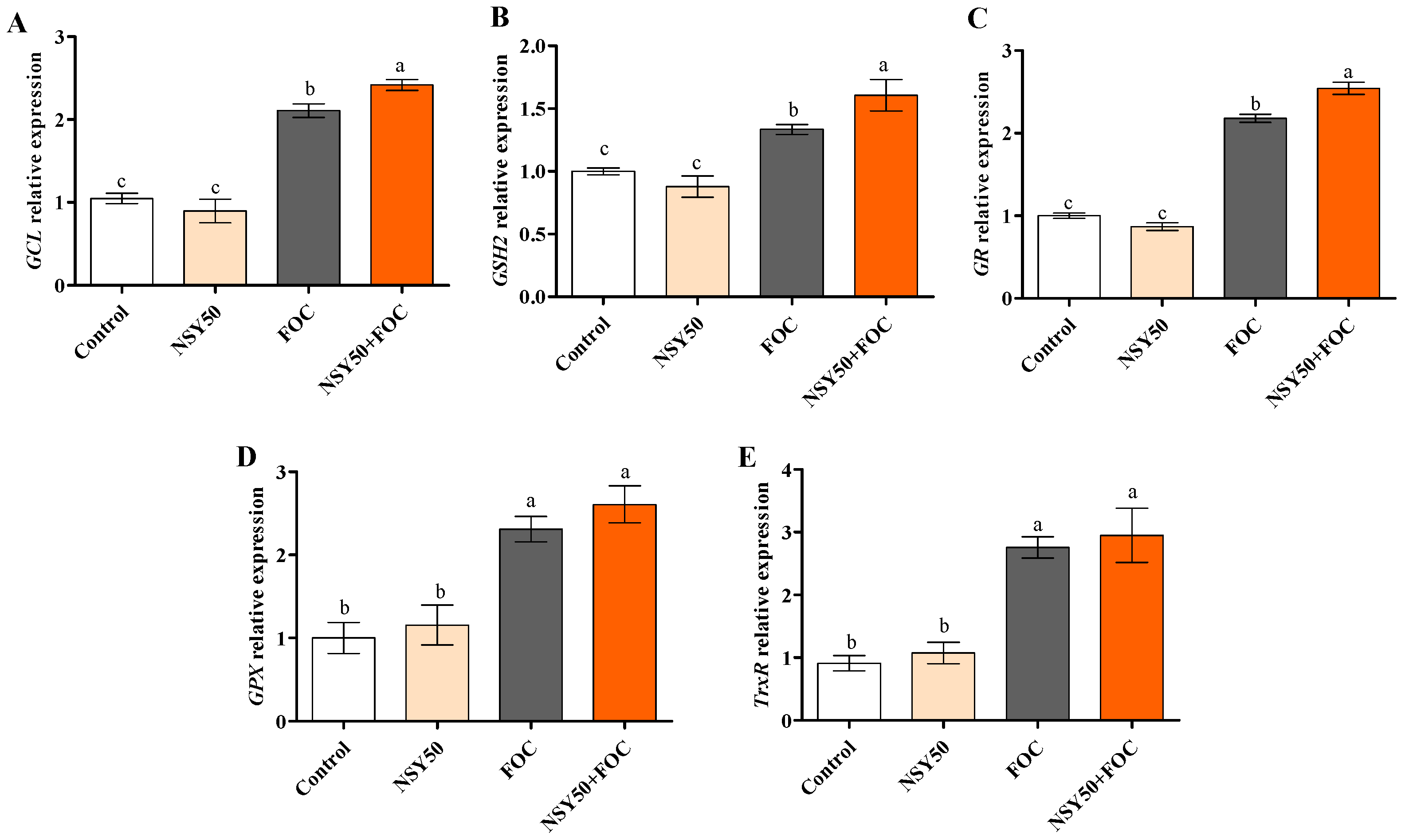 Biology 11 01028 g006