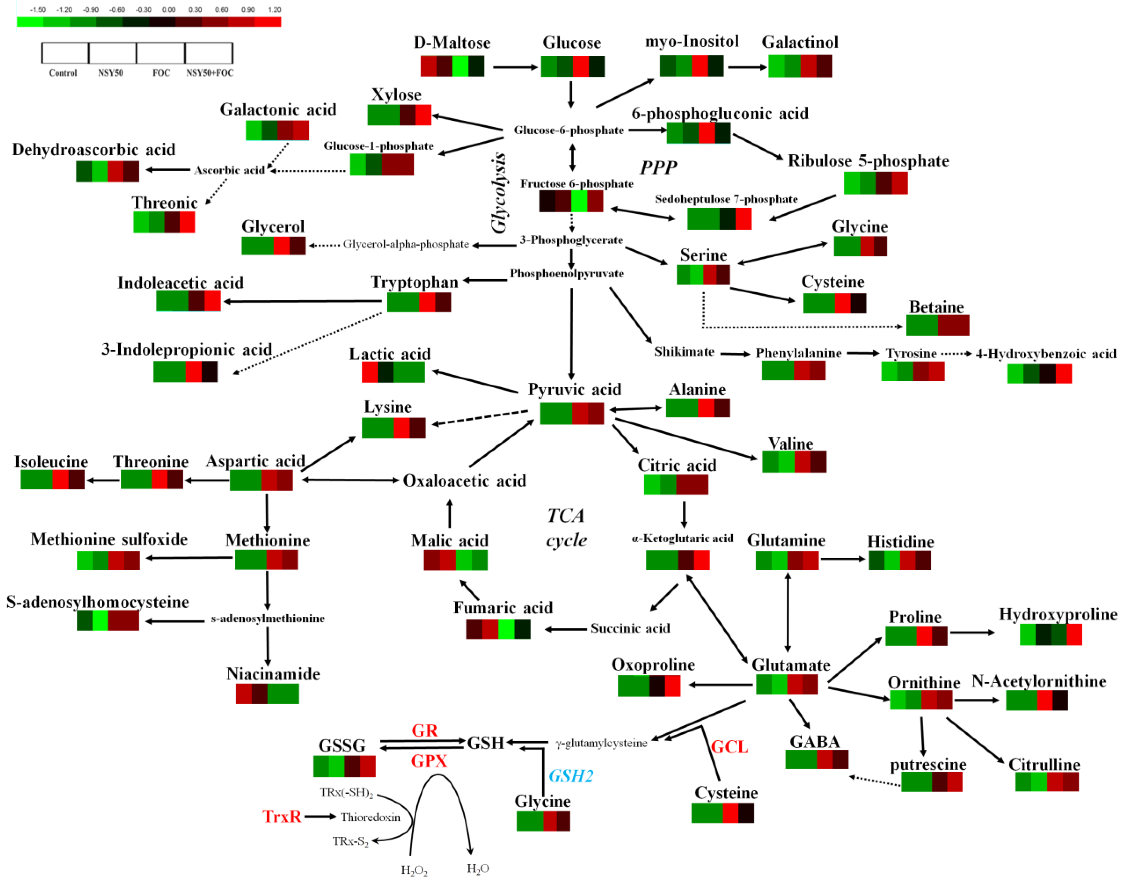 Biology 11 01028 g007