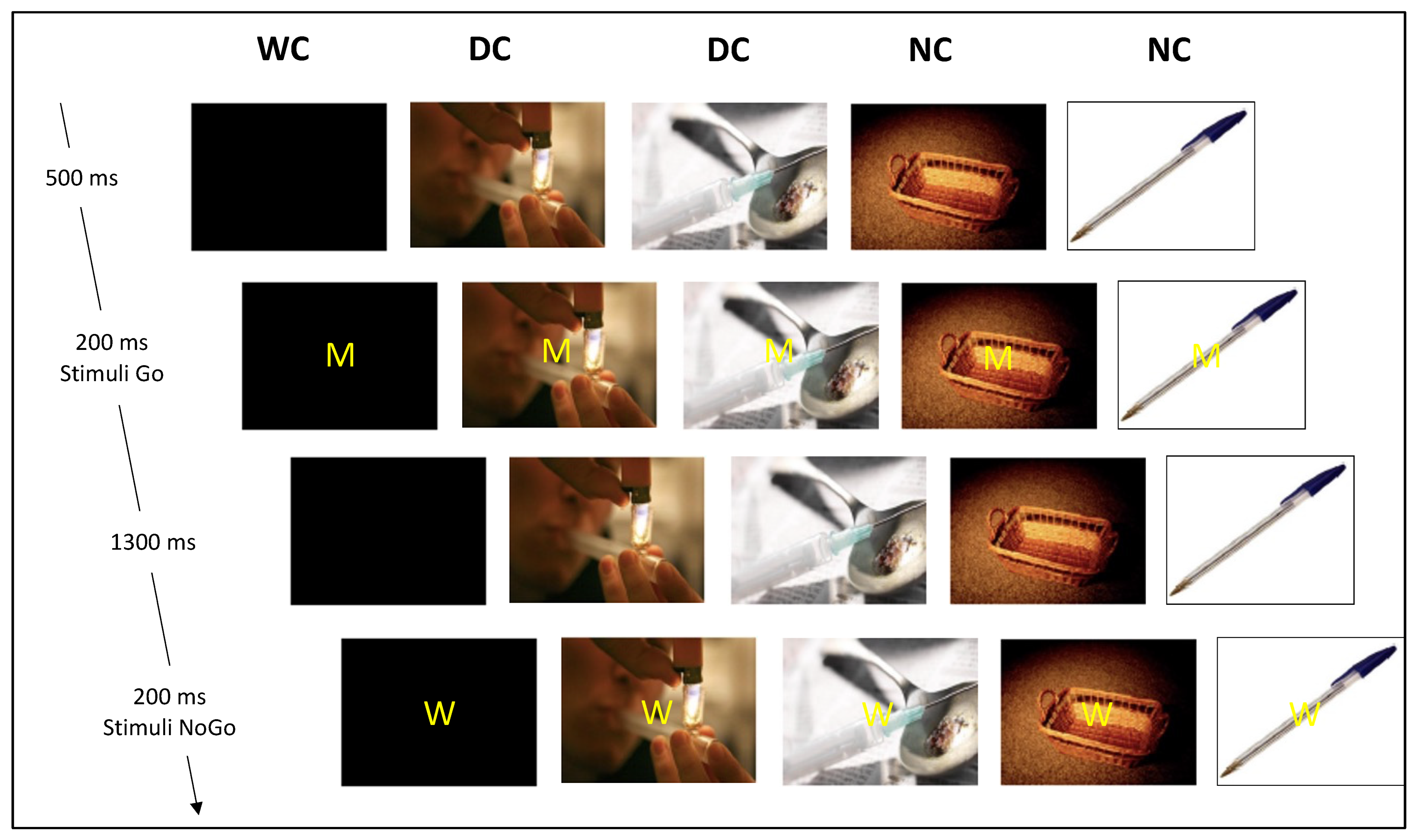 Biology 11 01029 g001 Biology 11 01029 g001