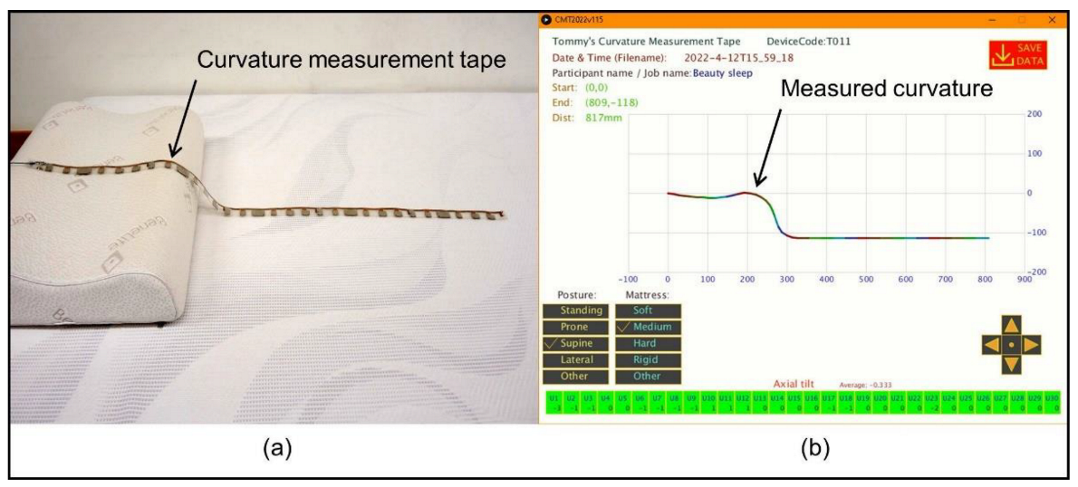 Biology 11 01030 g002 Biology 11 01030 g002