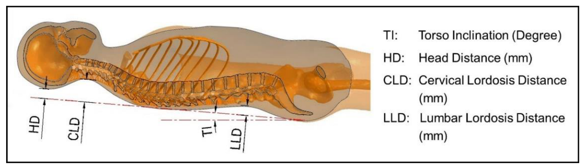 Biology 11 01030 g003 Biology 11 01030 g003