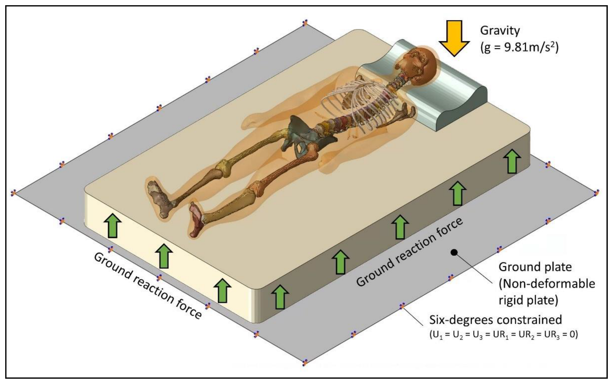 Biology 11 01030 g005 Biology 11 01030 g005