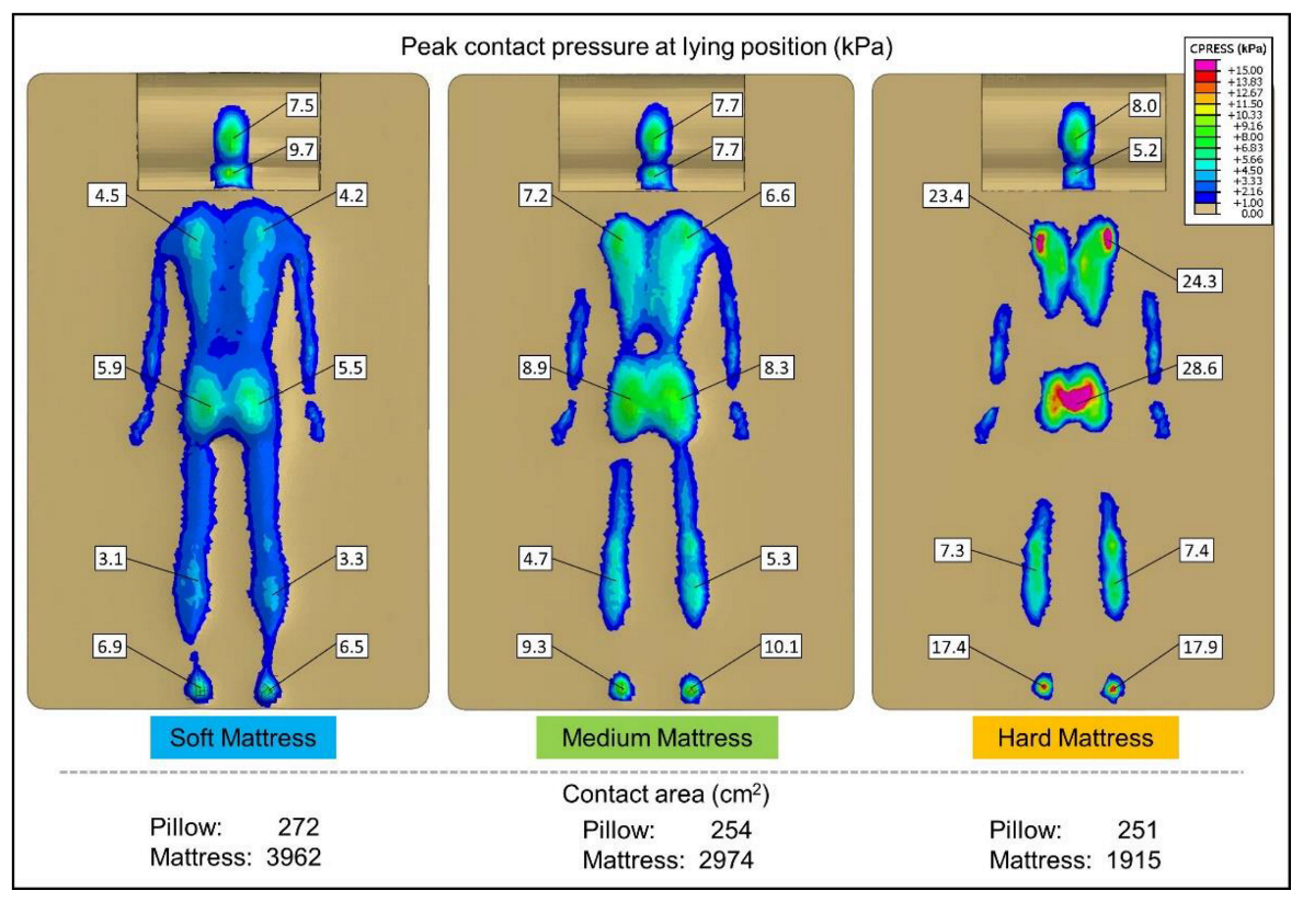 Biology 11 01030 g008 Biology 11 01030 g008