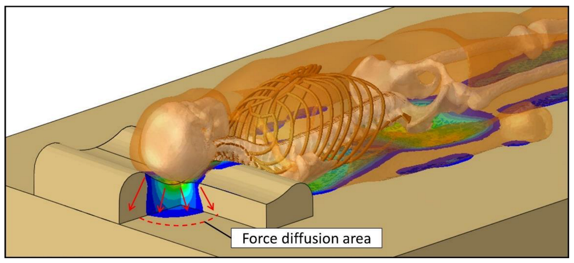 Biology 11 01030 g011 Biology 11 01030 g011