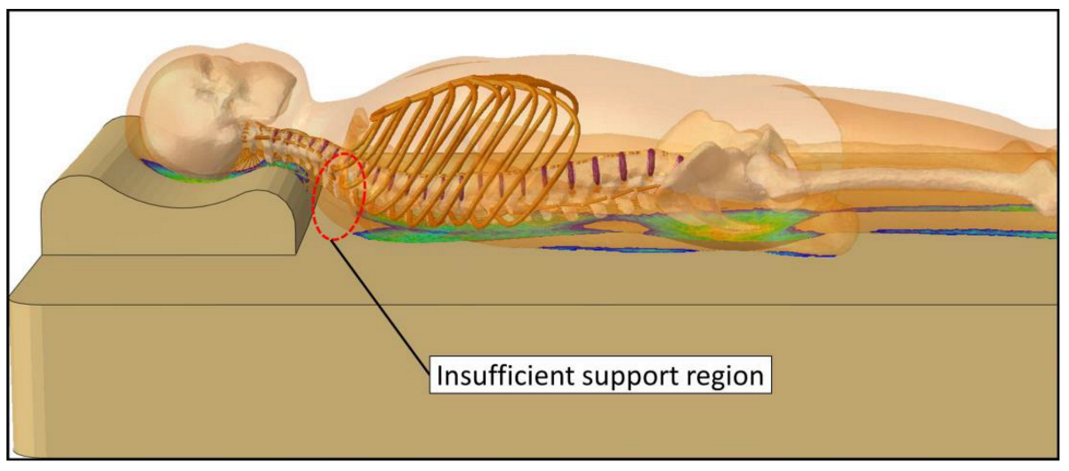 Biology 11 01030 g012 Biology 11 01030 g012