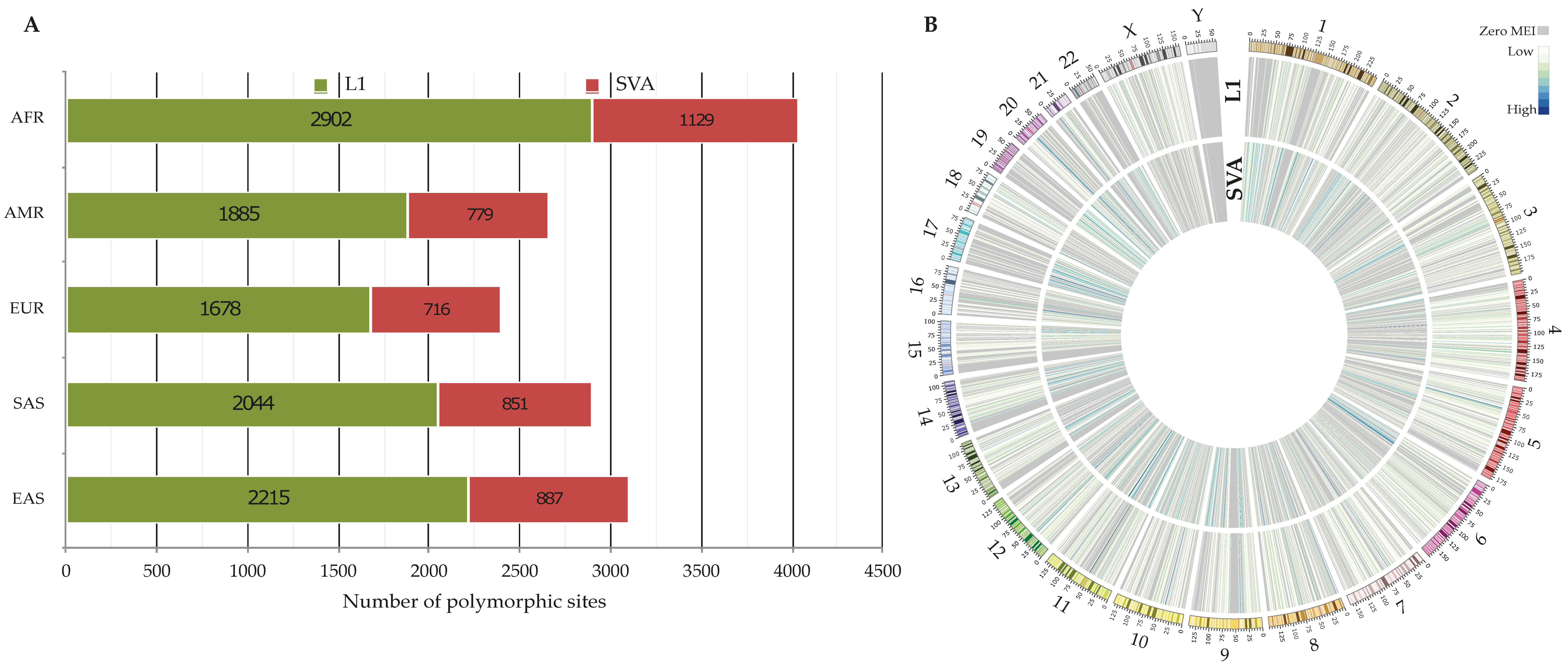 Biology 11 01032 g002 Biology 11 01032 g002