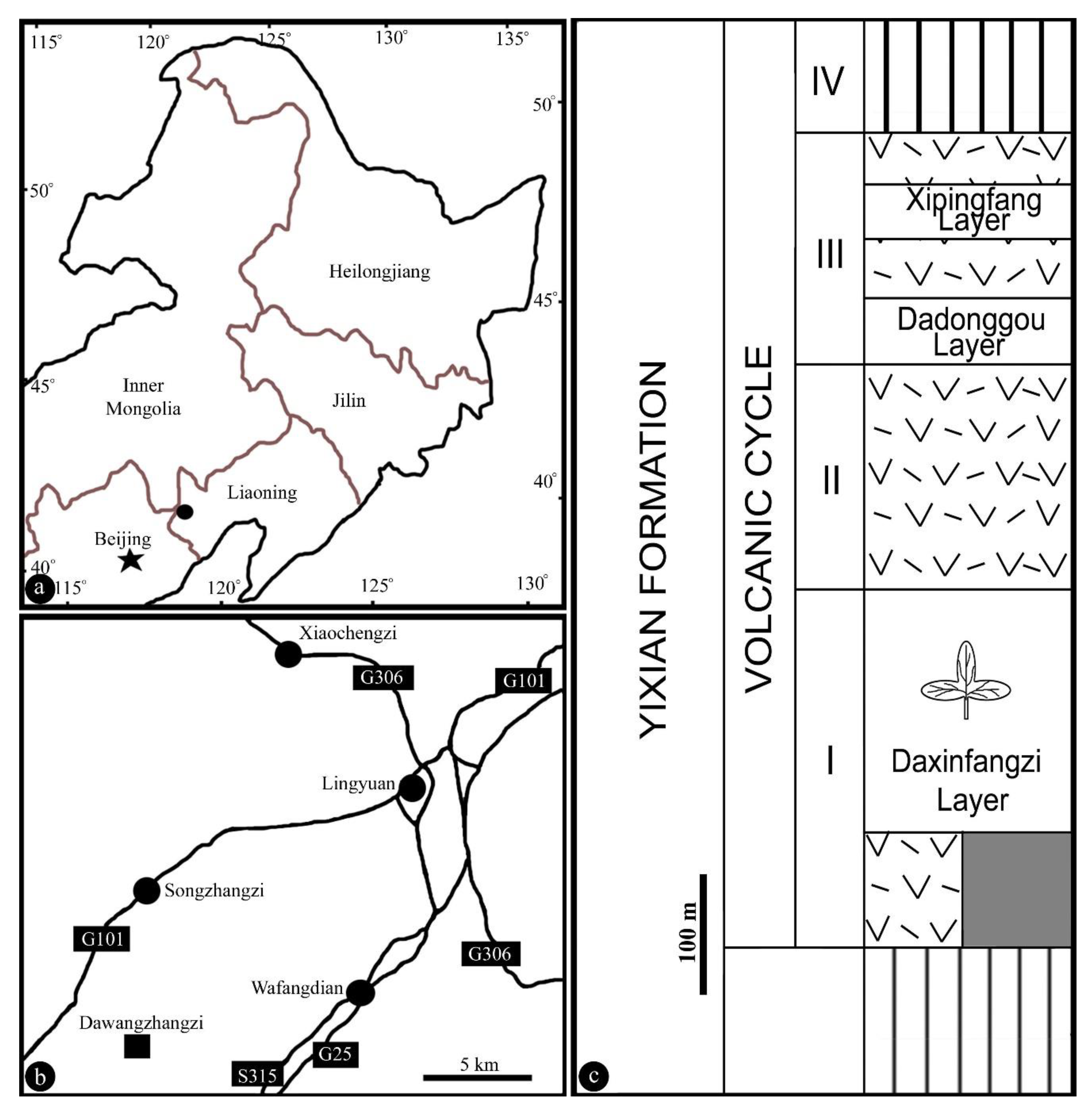 Biology 11 01036 g001 550