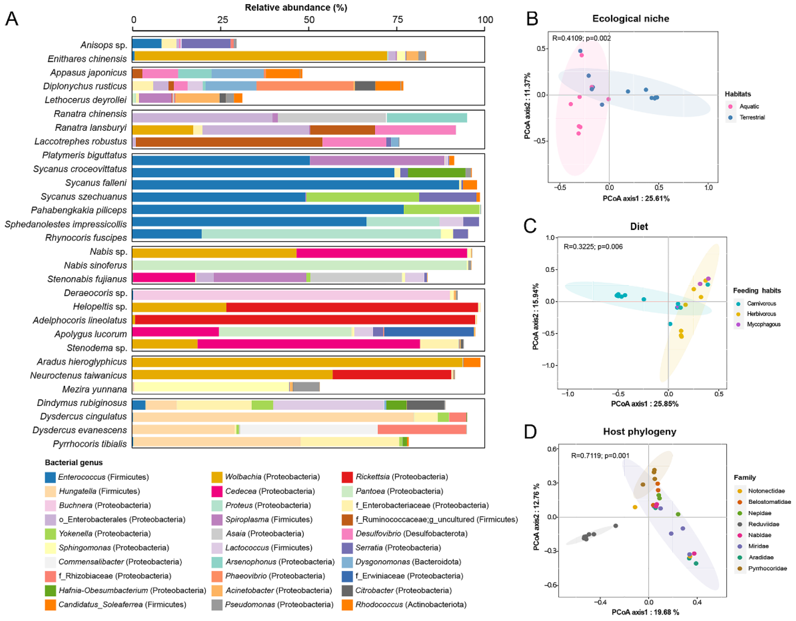 Biology 11 01039 g002 Biology 11 01039 g002