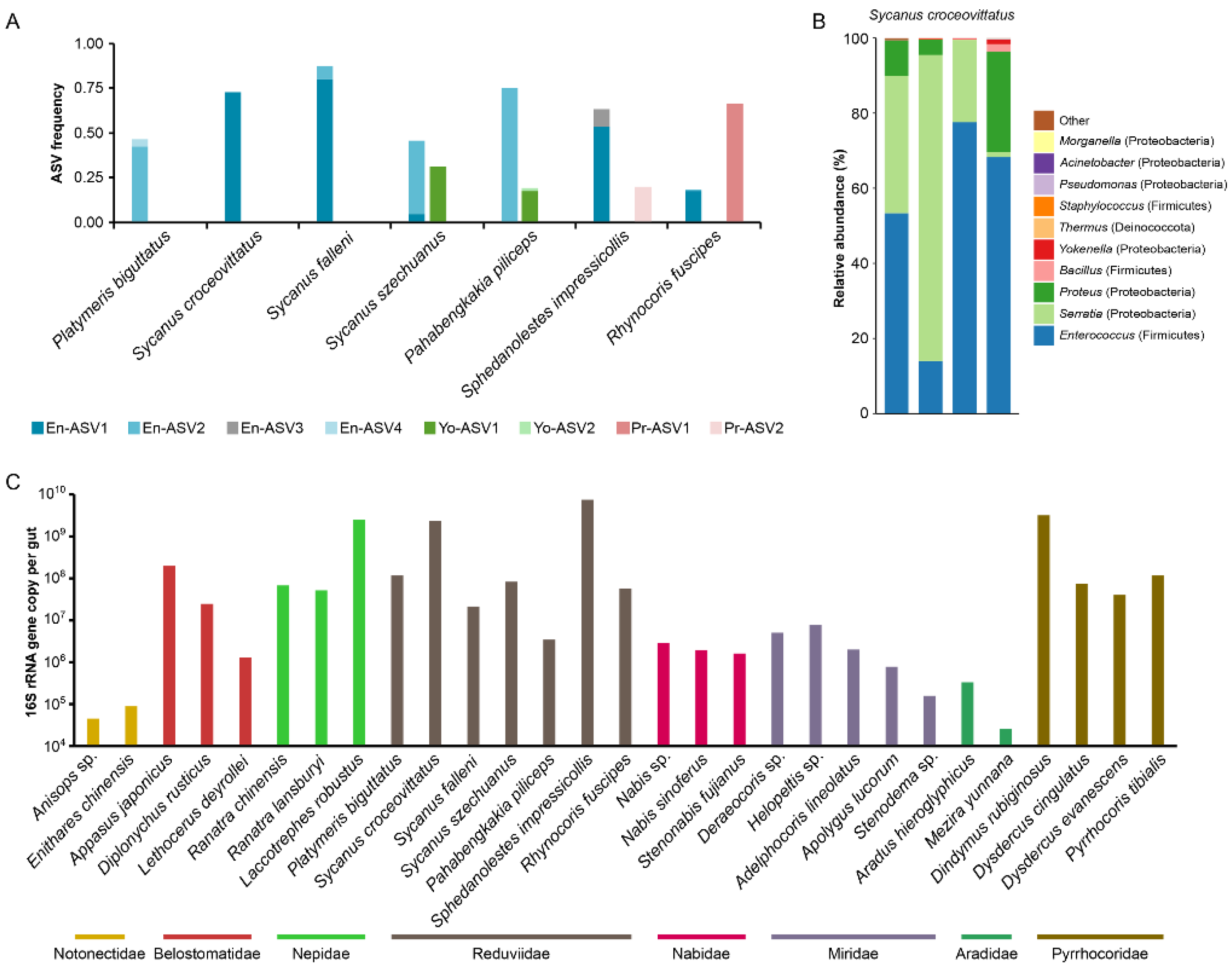 Biology 11 01039 g003 Biology 11 01039 g003
