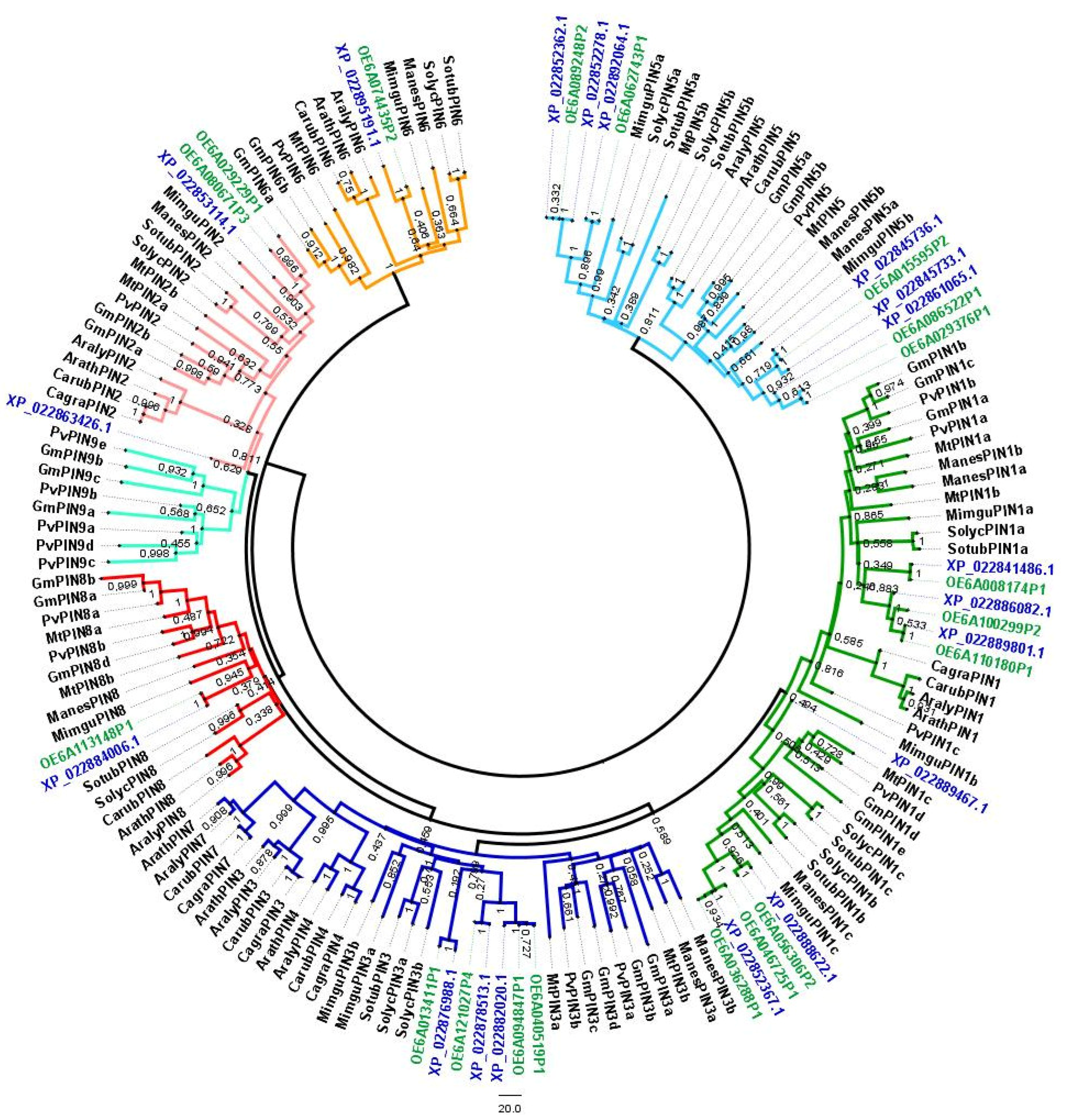 Biology 11 01040 g001 Biology 11 01040 g001