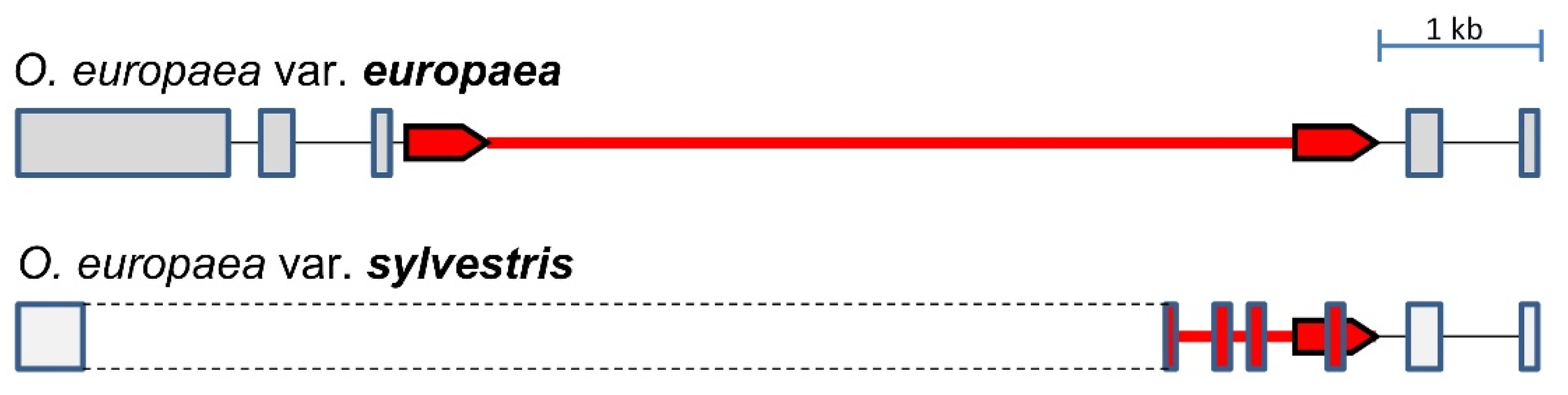 Biology 11 01040 g002 Biology 11 01040 g002