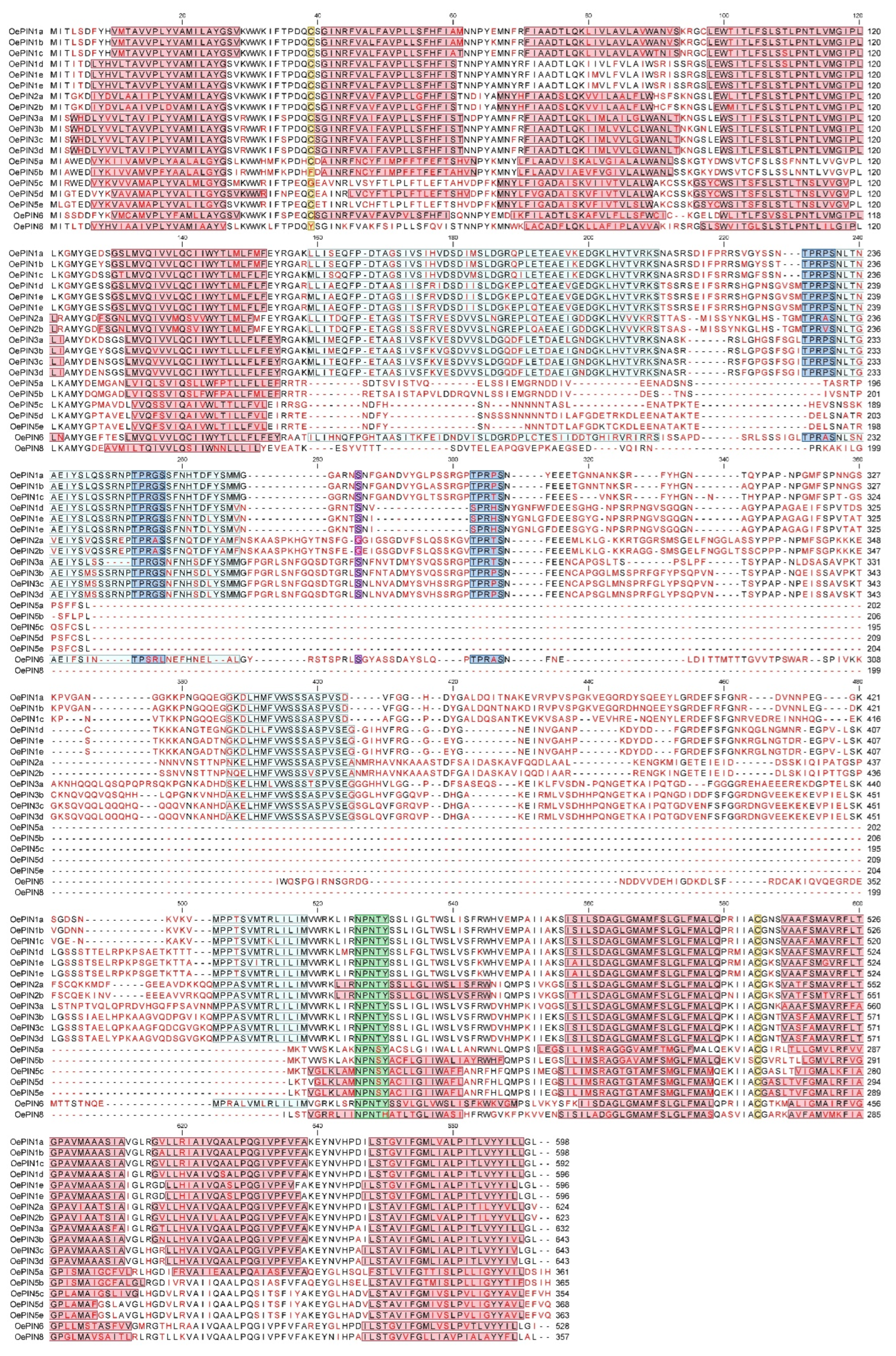 Biology 11 01040 g003 Biology 11 01040 g003