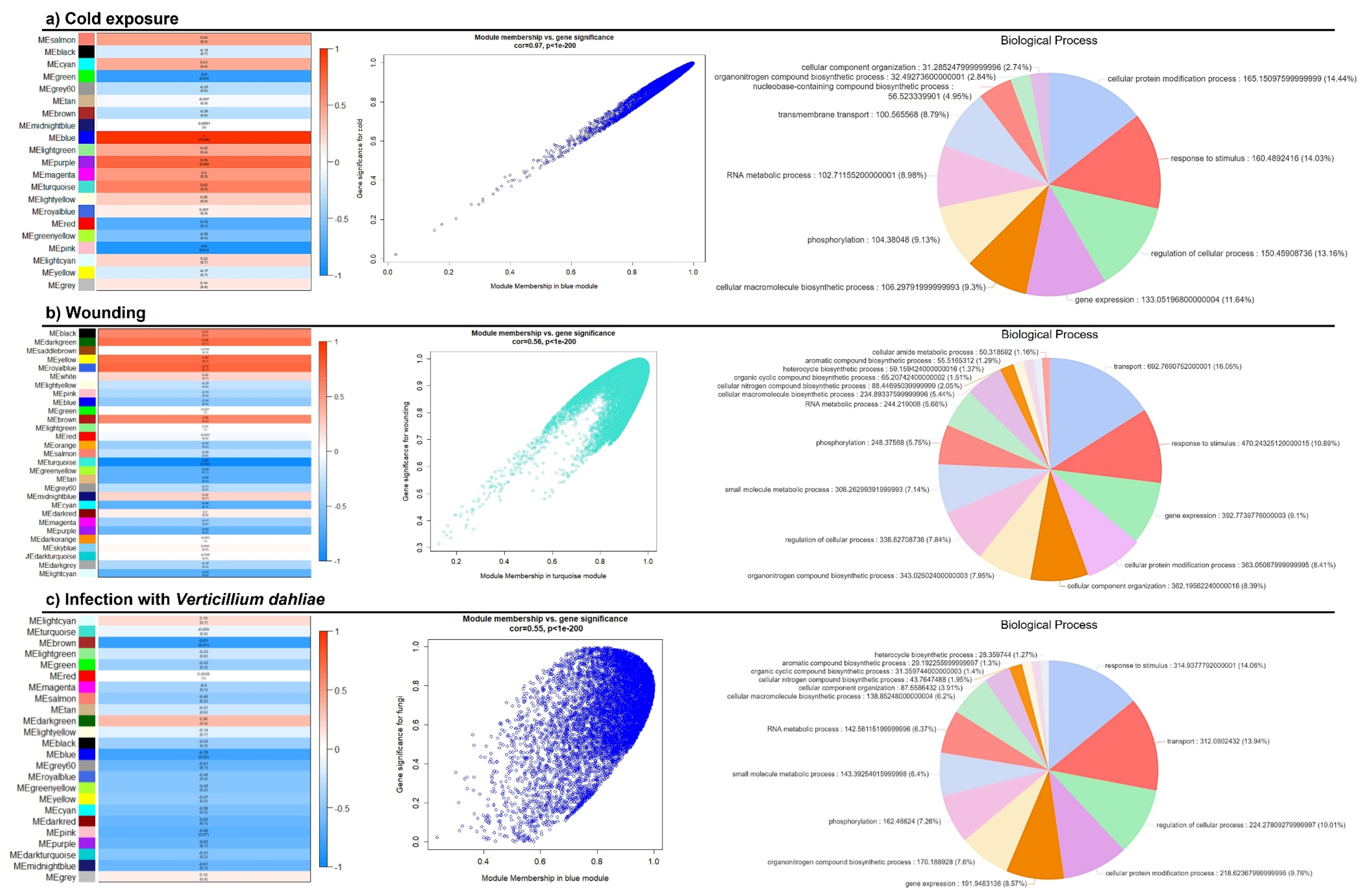Biology 11 01040 g005 Biology 11 01040 g005