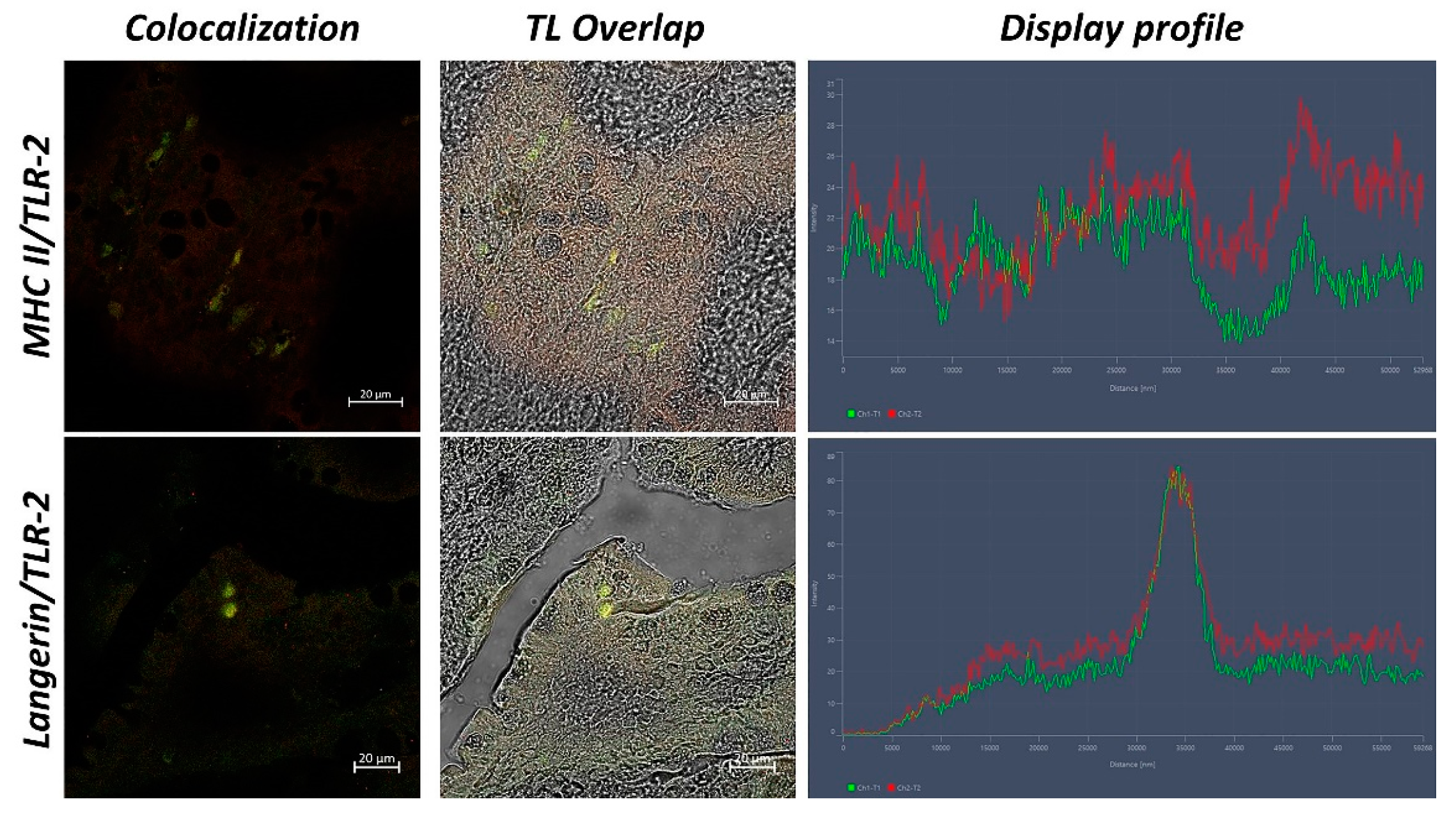 Biology 11 01045 g002 550