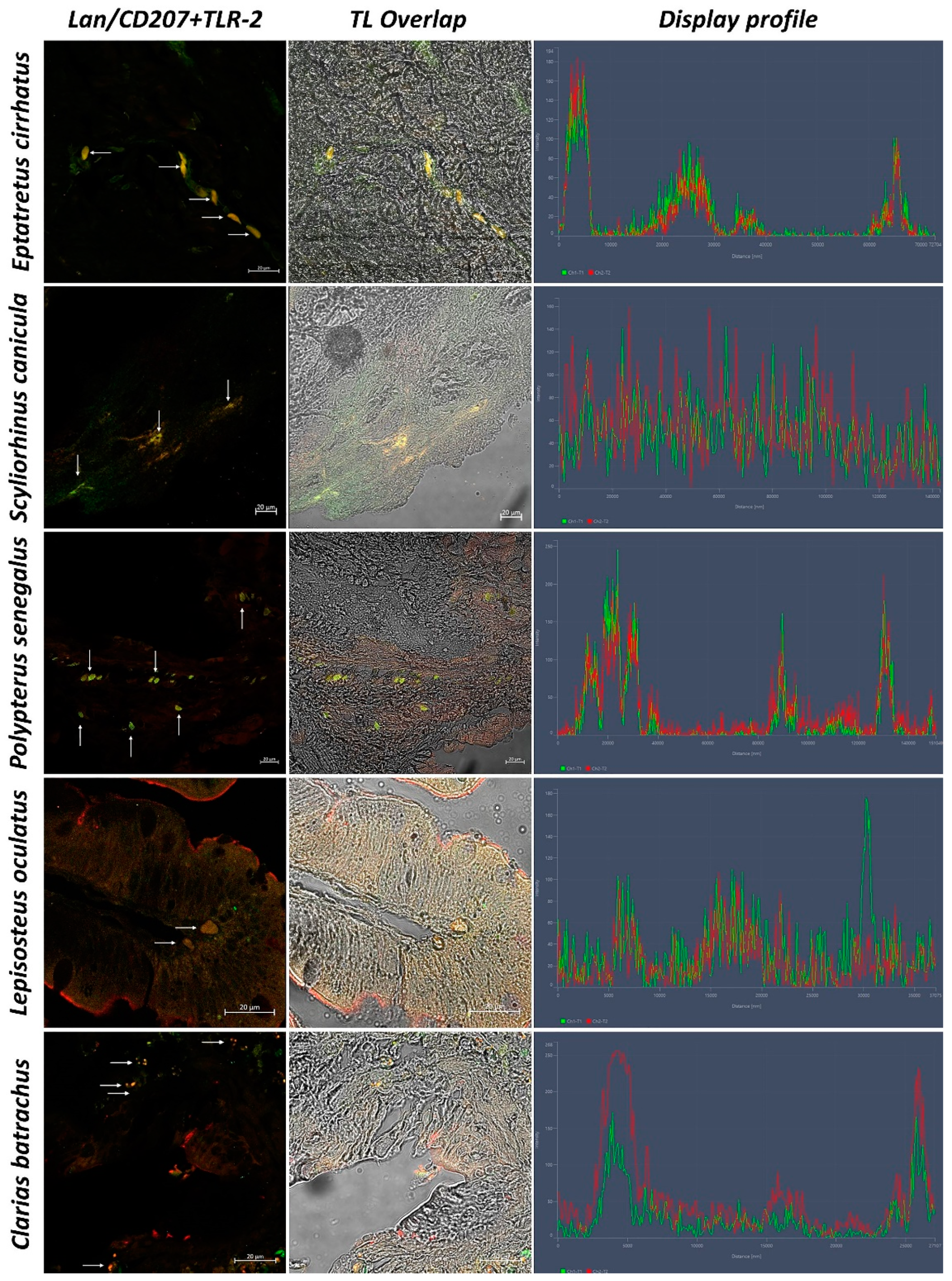 Biology 11 01045 g007 550
