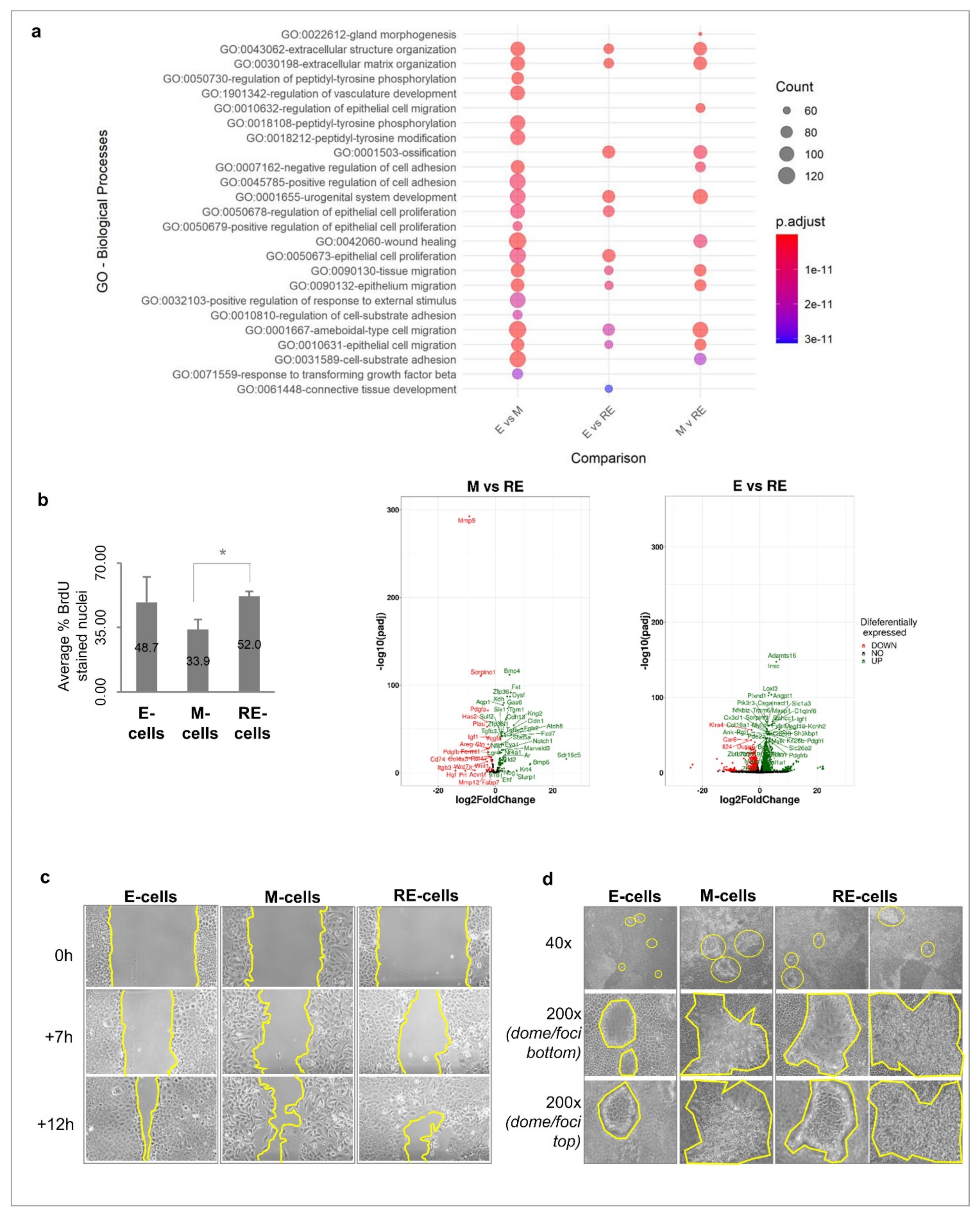 Biology 11 01046 g003 550