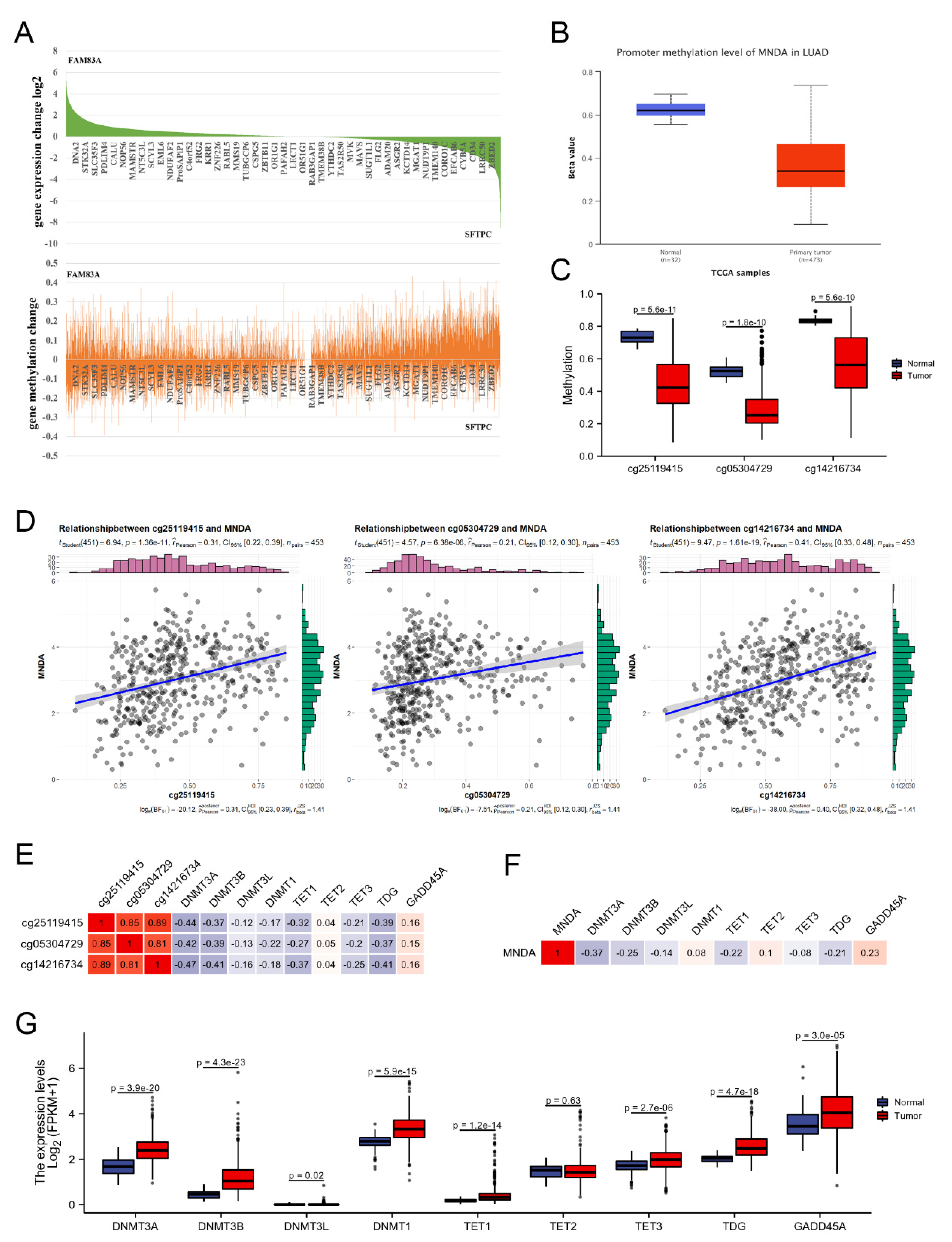 Biology 11 01047 g004