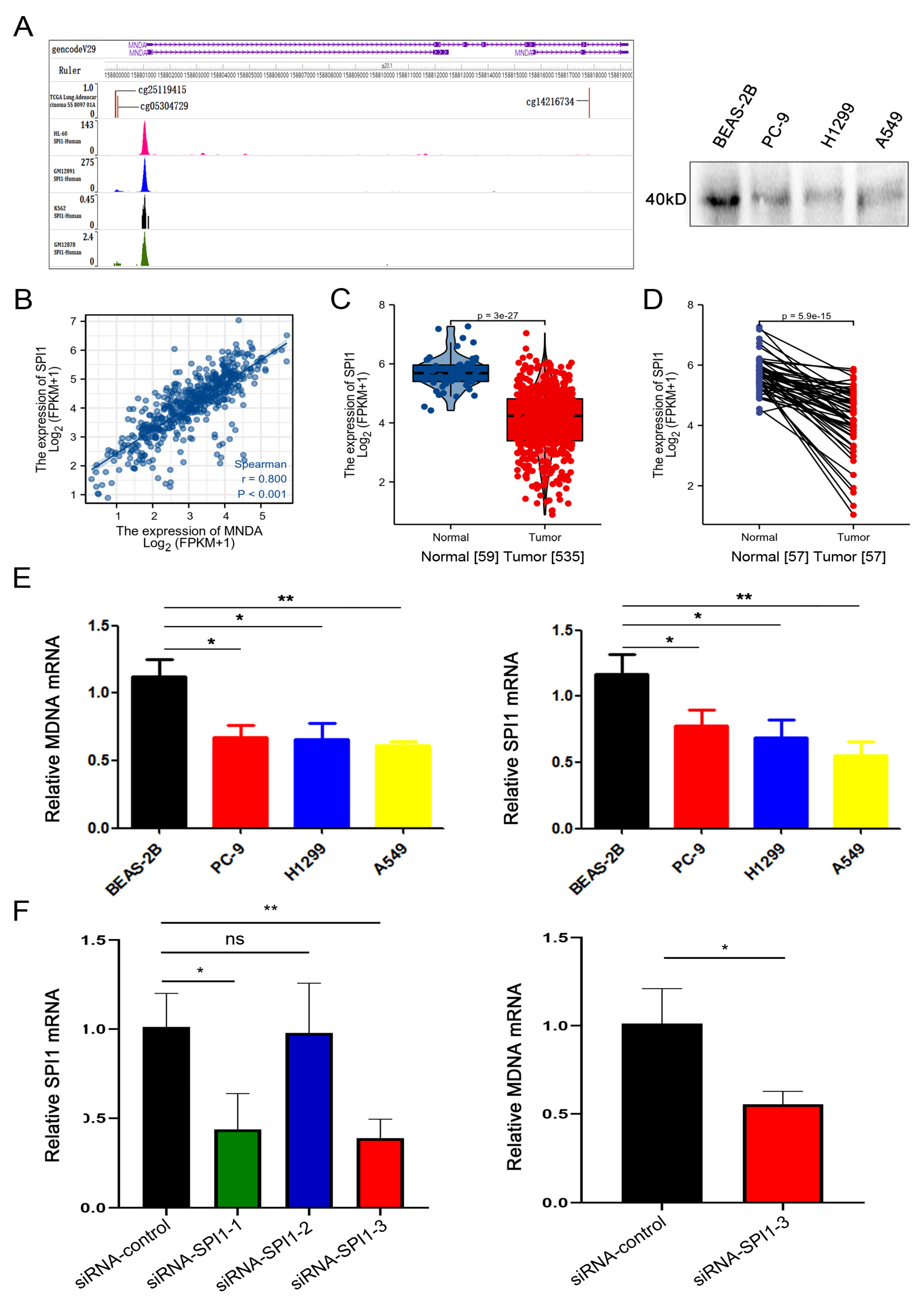 Biology 11 01047 g005