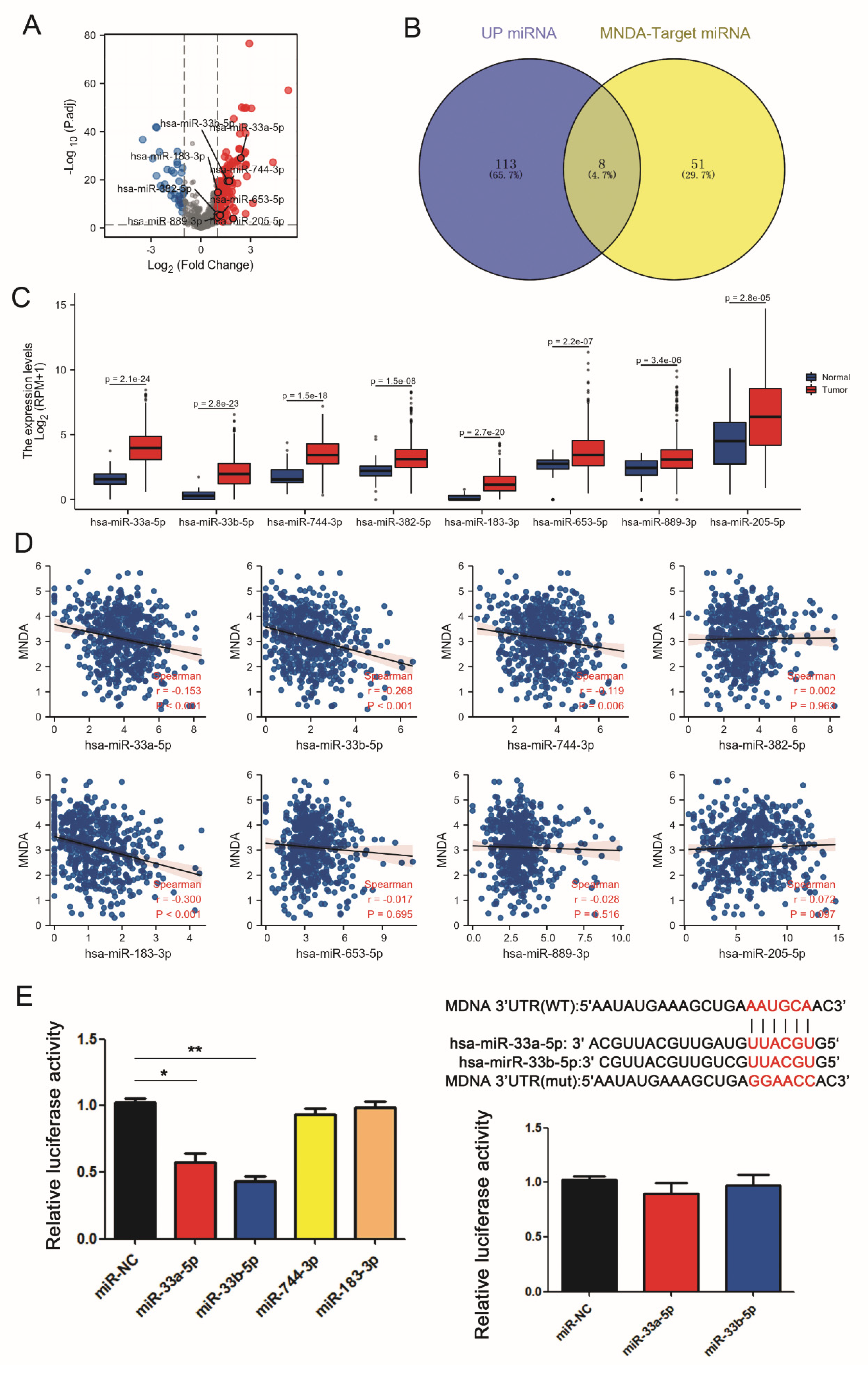 Biology 11 01047 g006