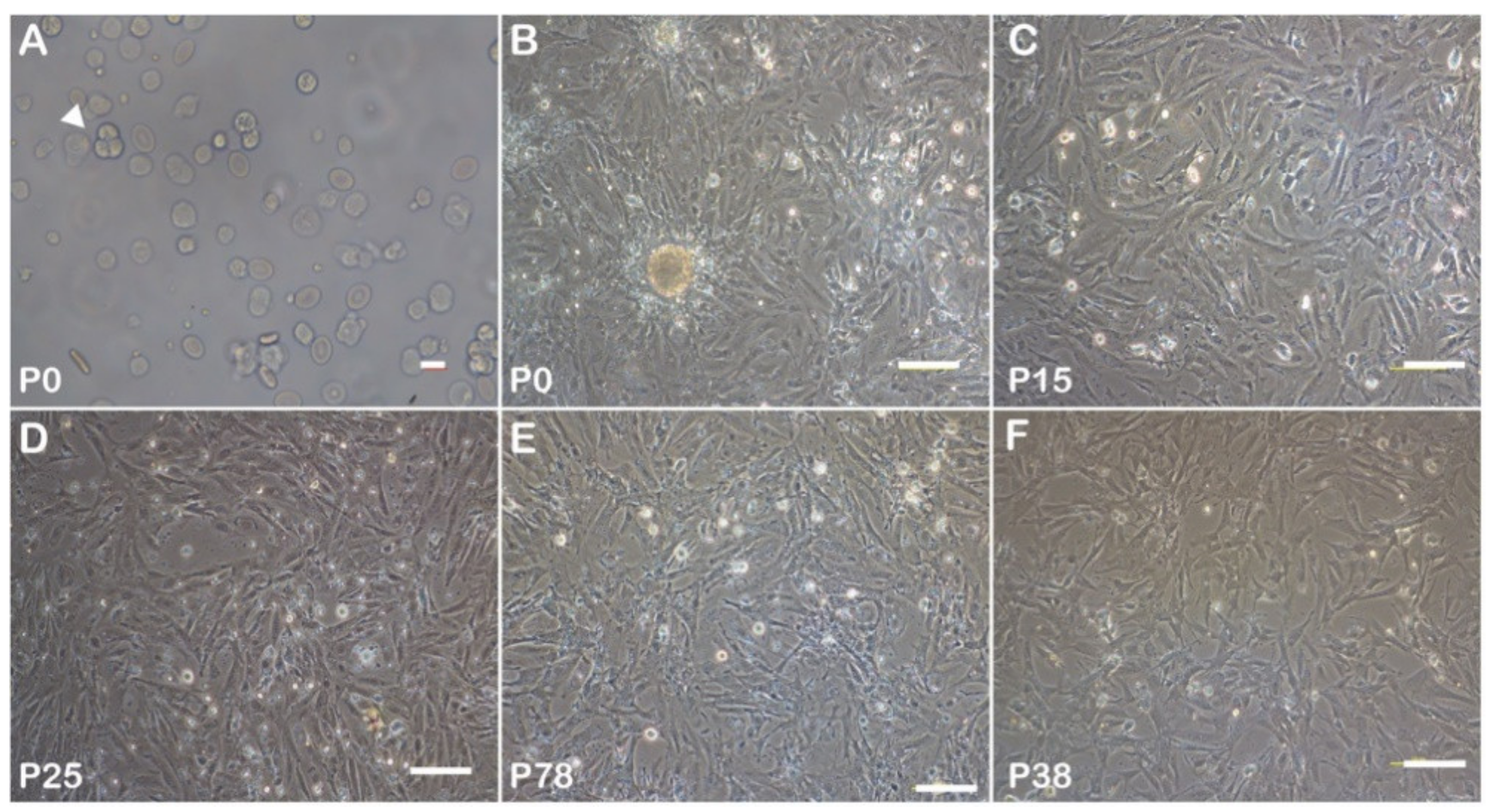Biology 11 01049 g002 550