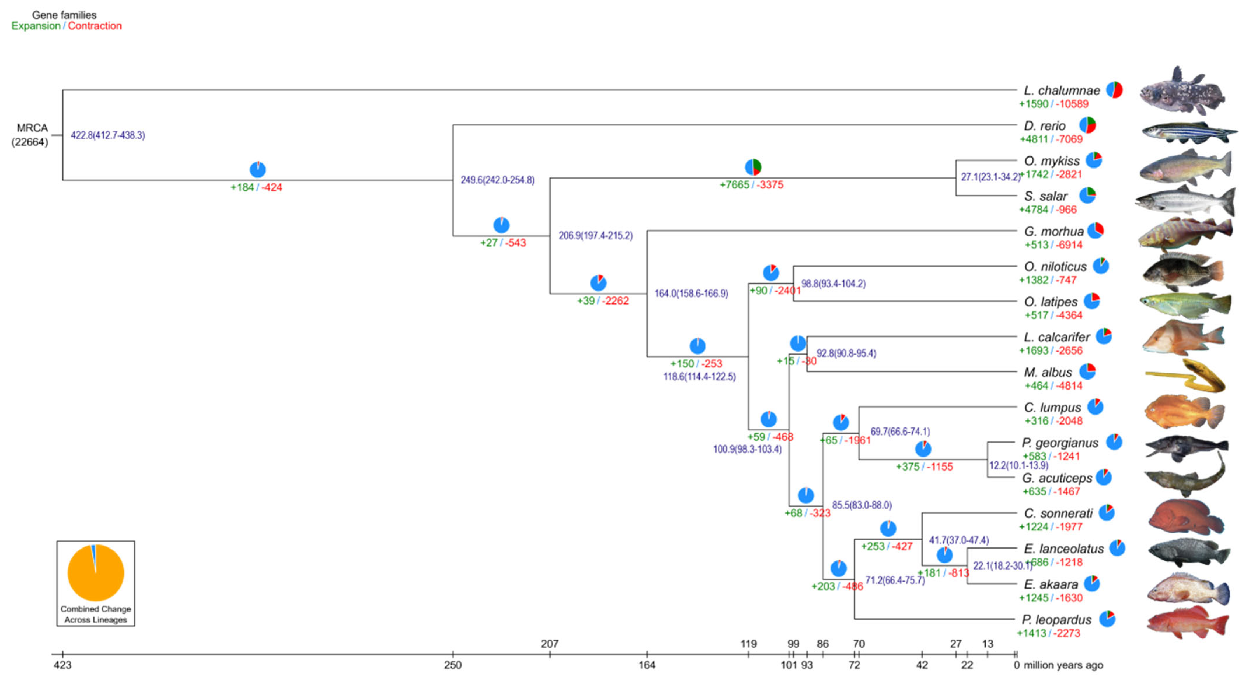 Chromosome-Level Genome Assembly and Transcriptome