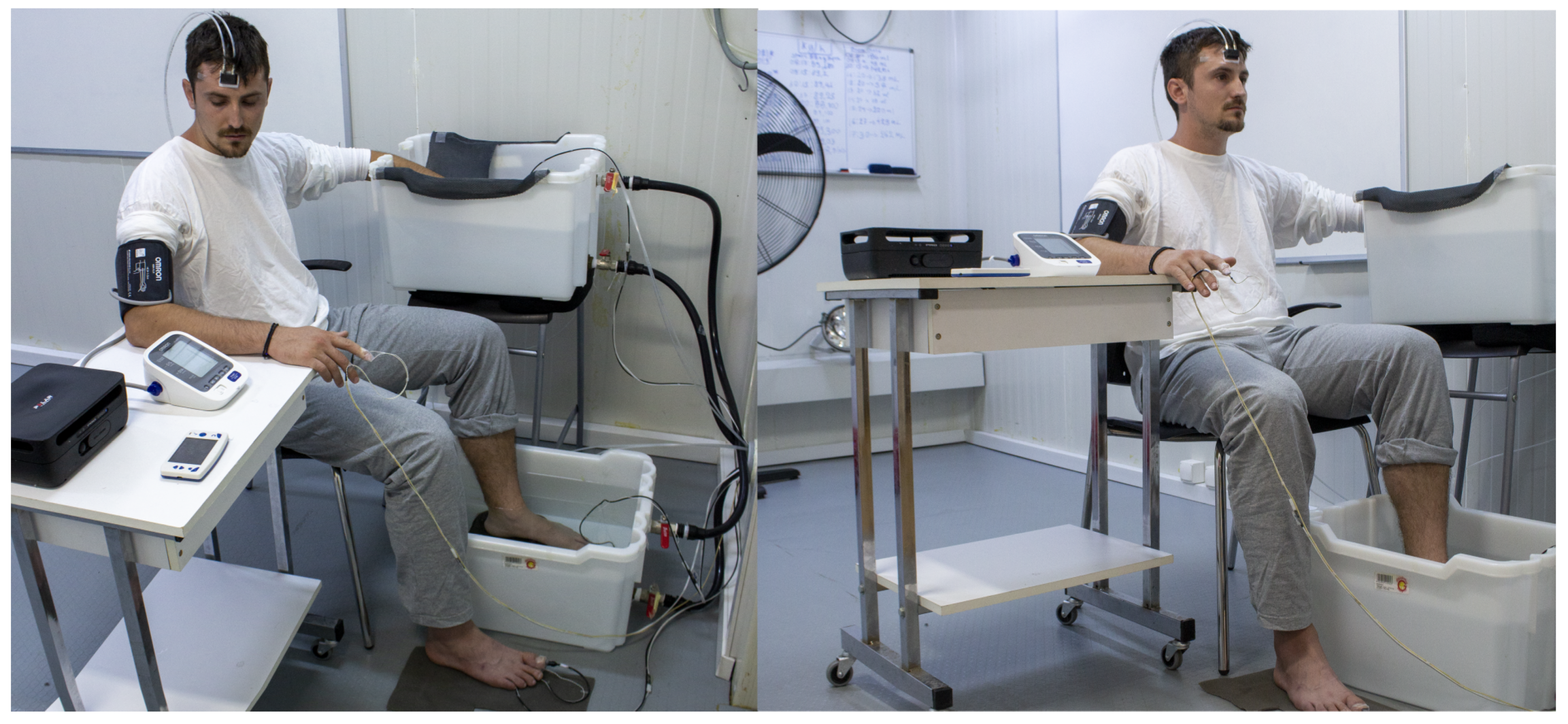 Biology 11 01054 g001