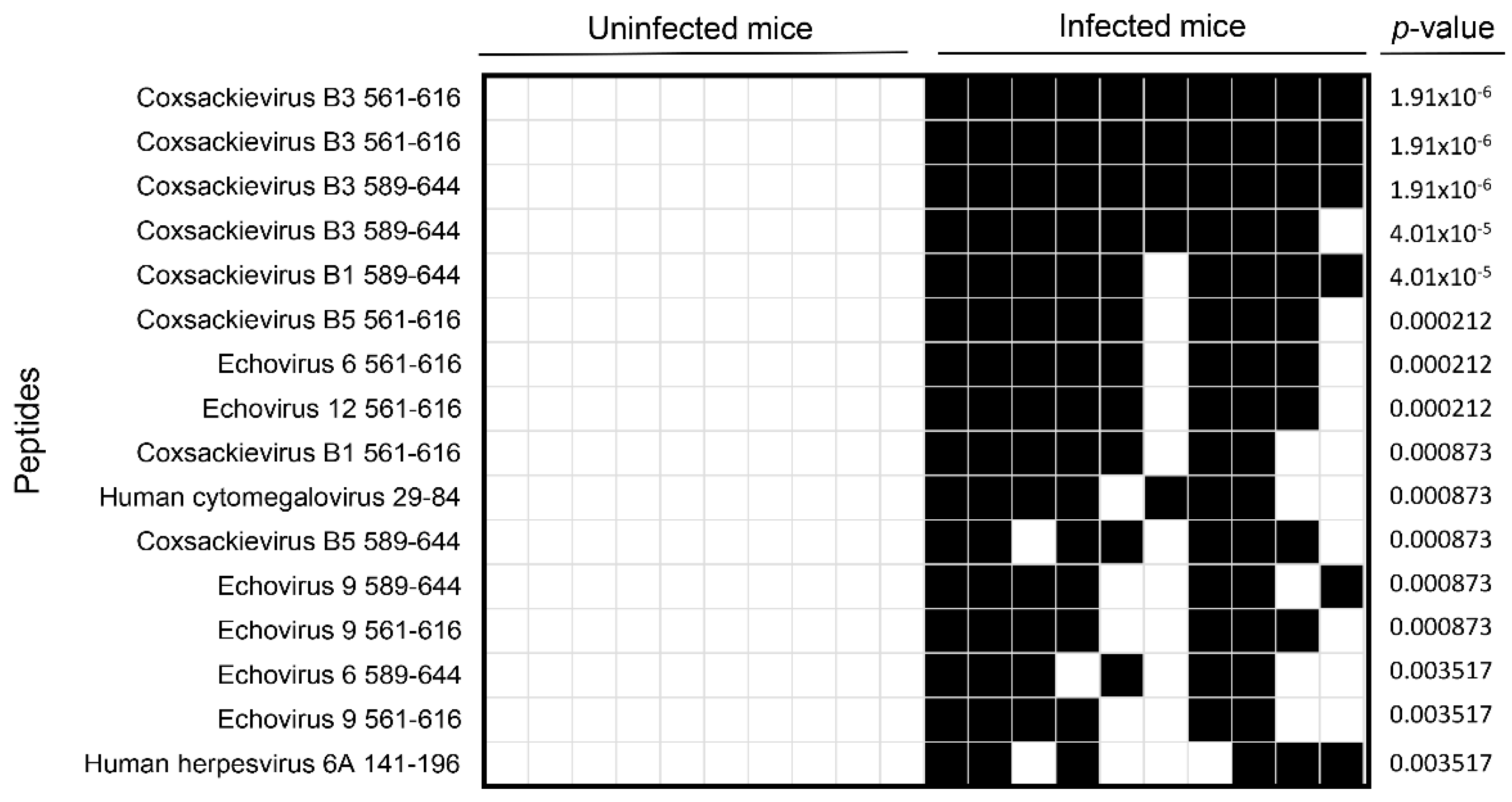 Biology 11 01055 g001 Biology 11 01055 g001
