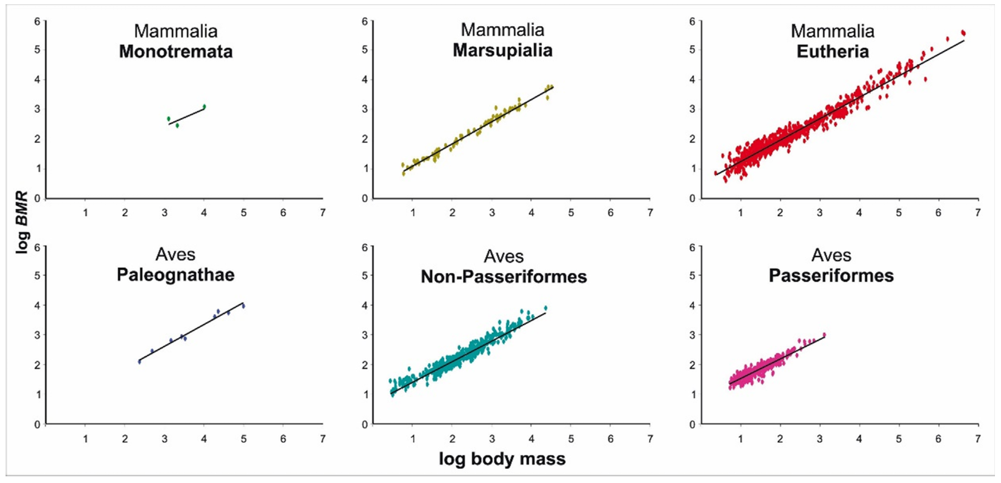 Biology 11 01067 g002