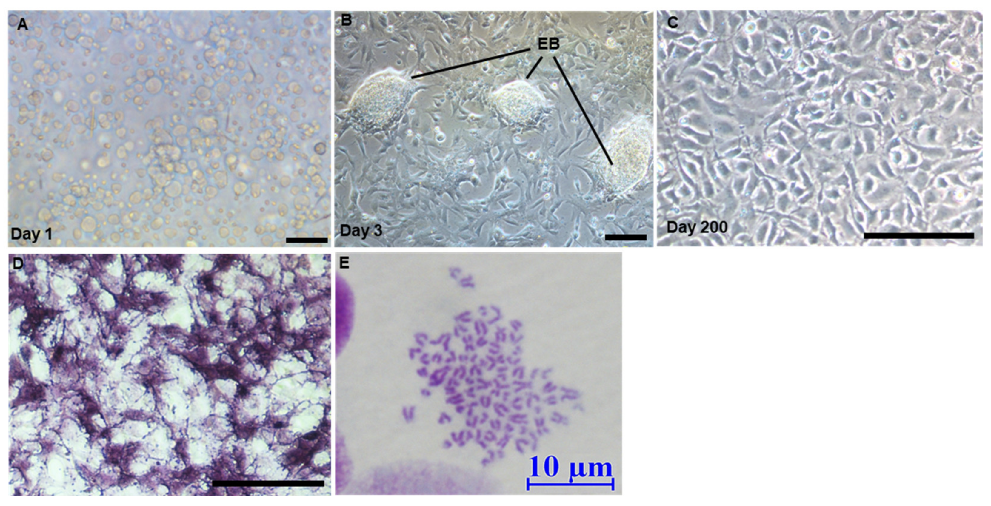 Biology 11 01069 g002