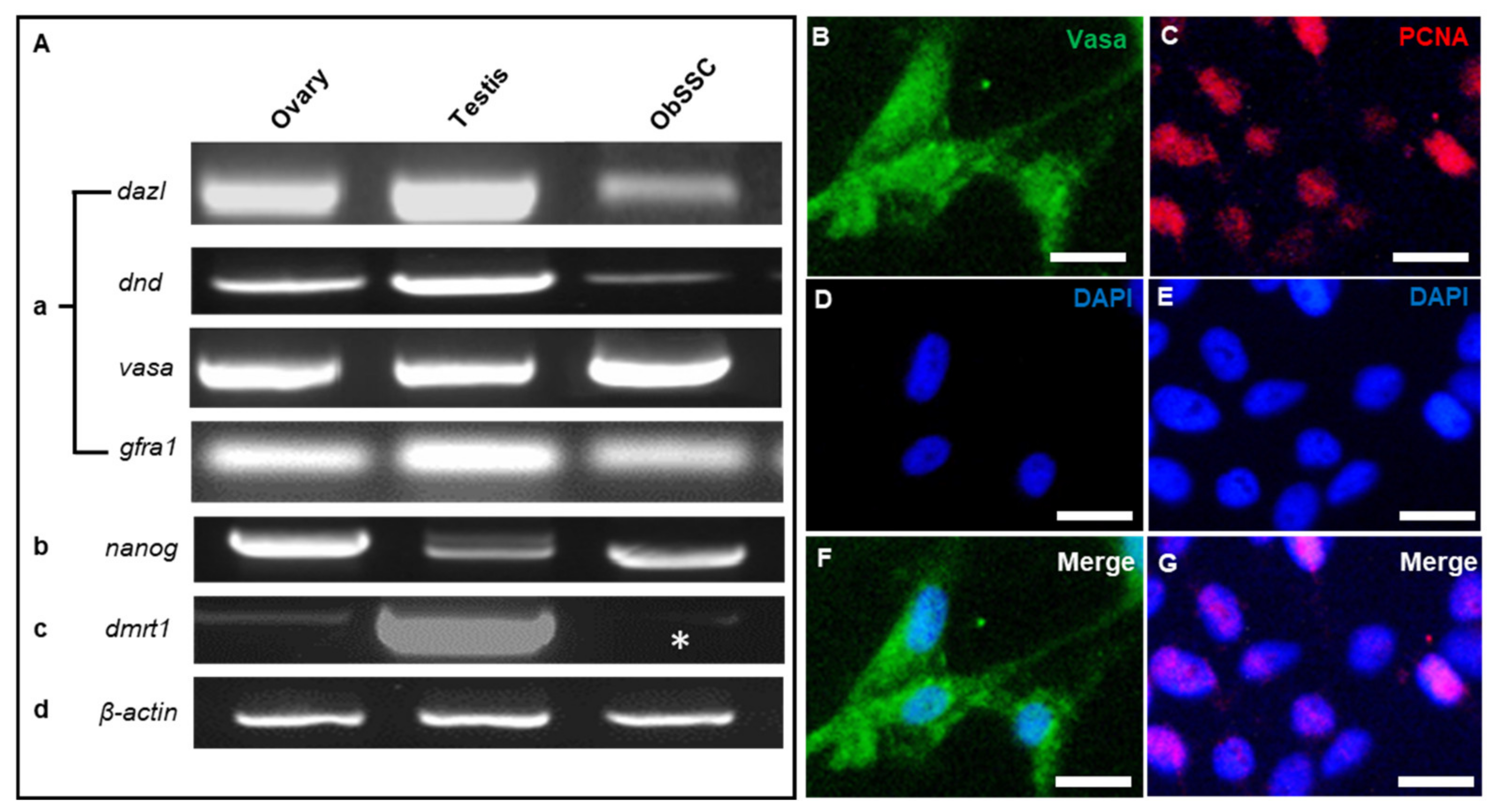 Biology 11 01069 g003