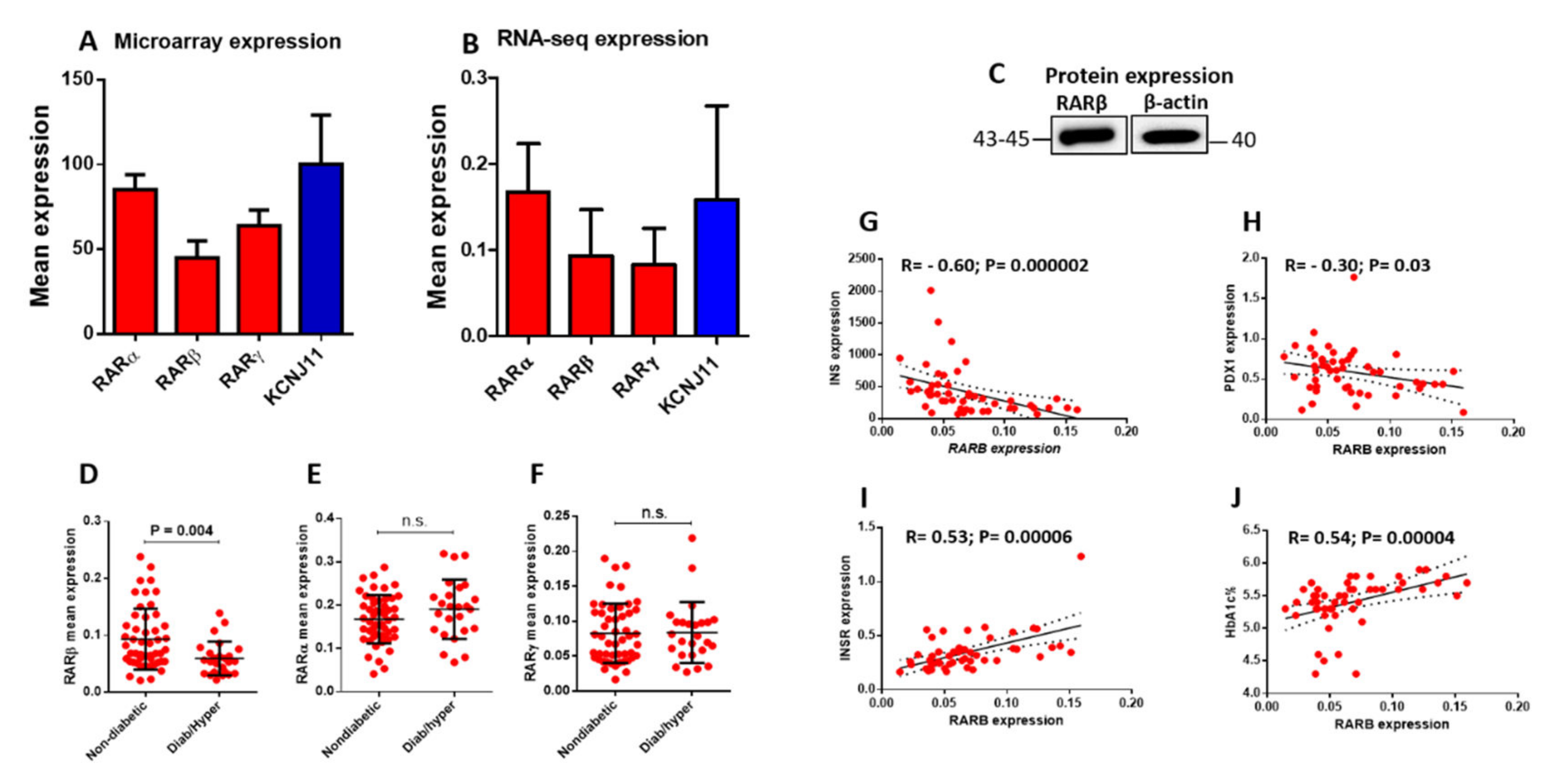 Biology 11 01072 g001 Biology 11 01072 g001