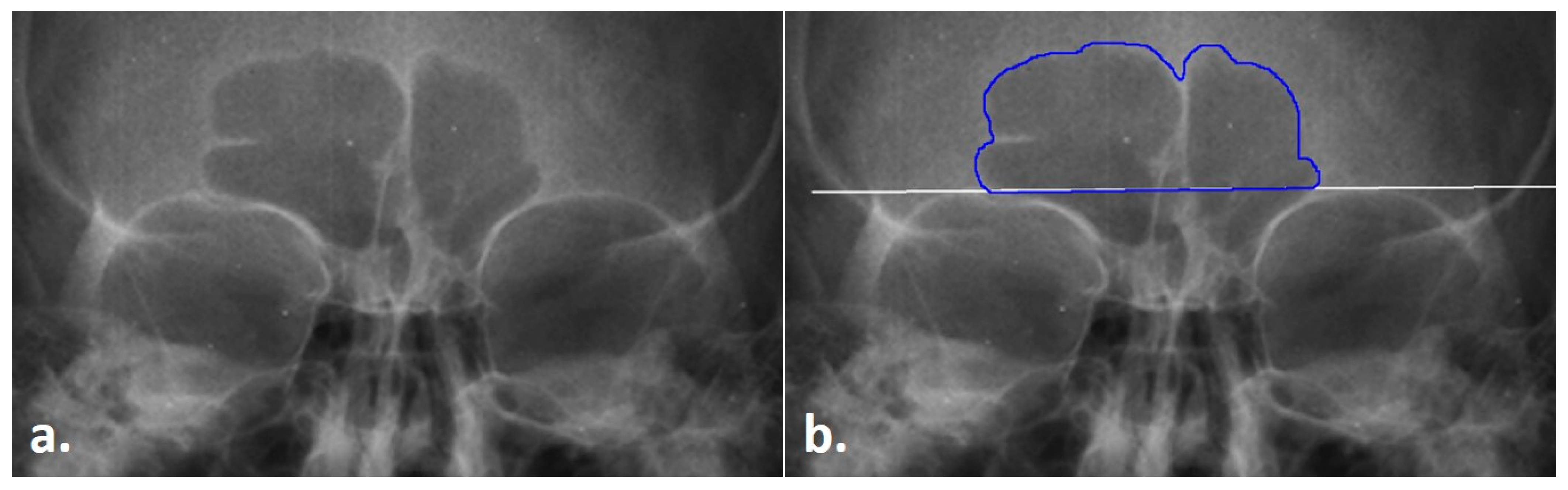 Biology 11 01075 g001